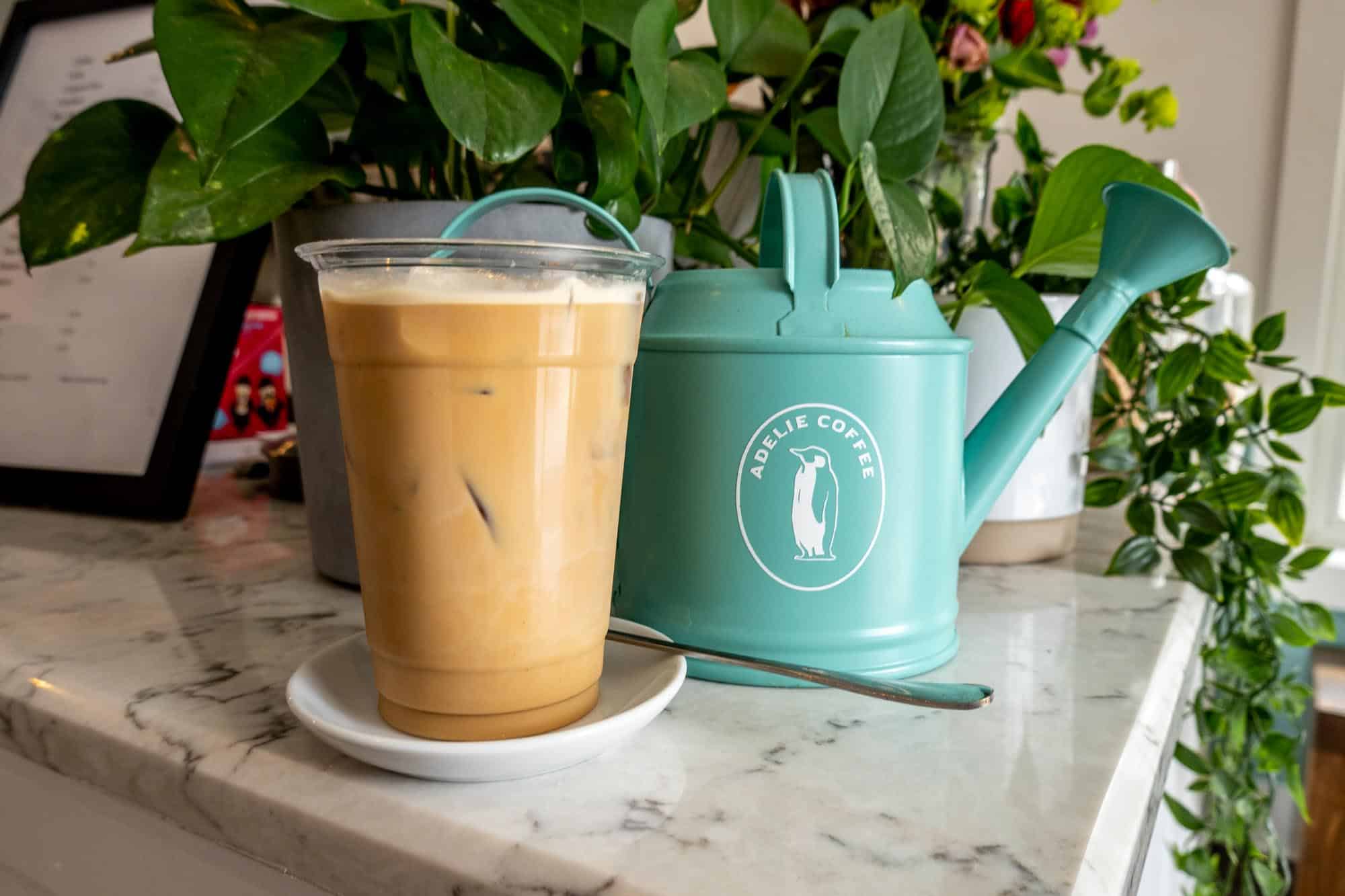 Iced latte on a counter next to a turquoise watering can decorated with a penguin and labeled "Adelie Coffee."