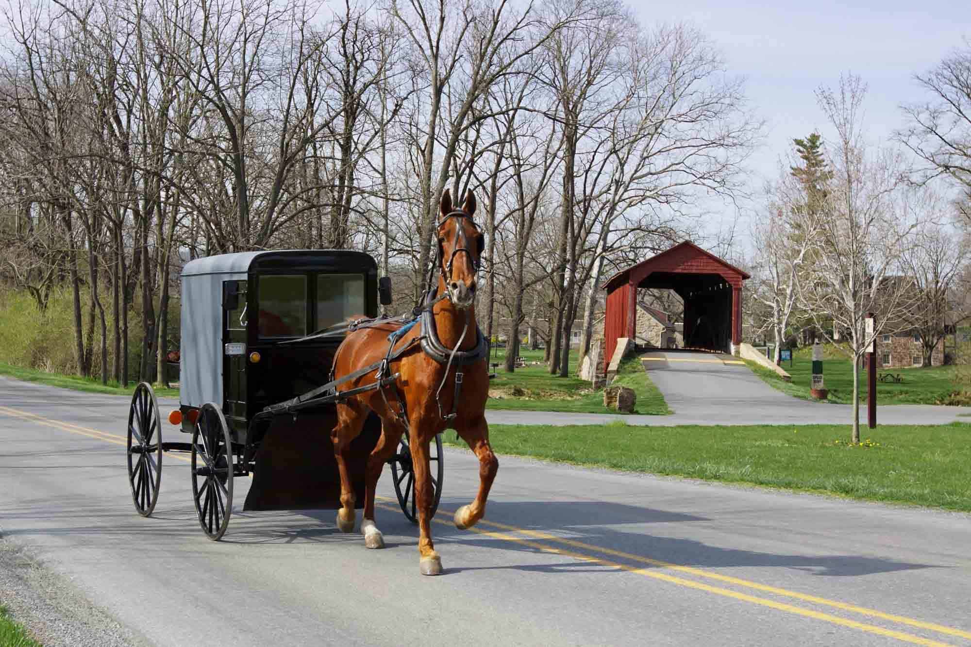 Horse-drawn Amish buggy in front of covered bridge