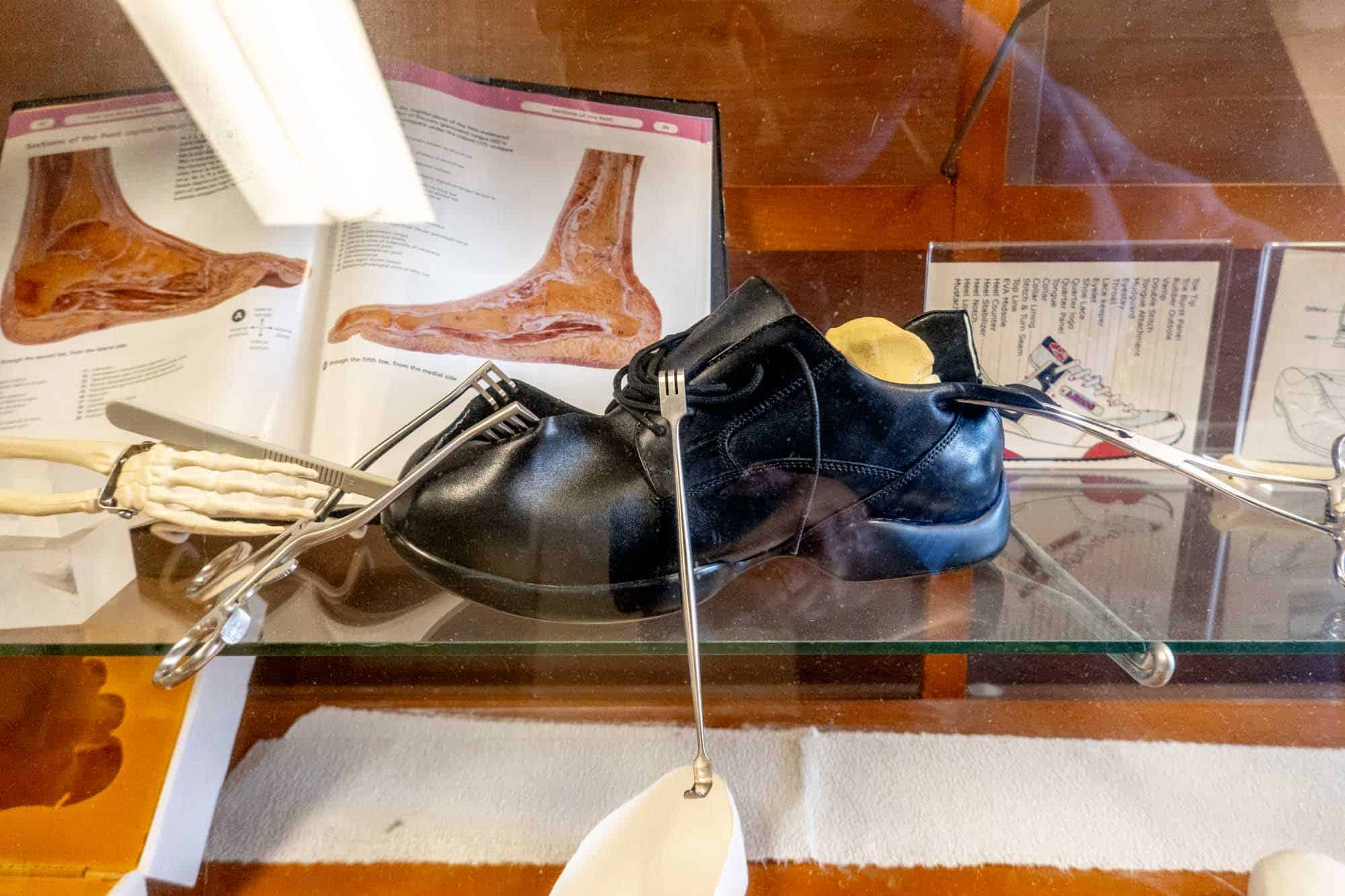 Book showing the anatomy of the foot beside a shoe that has been cut open to show its parts.