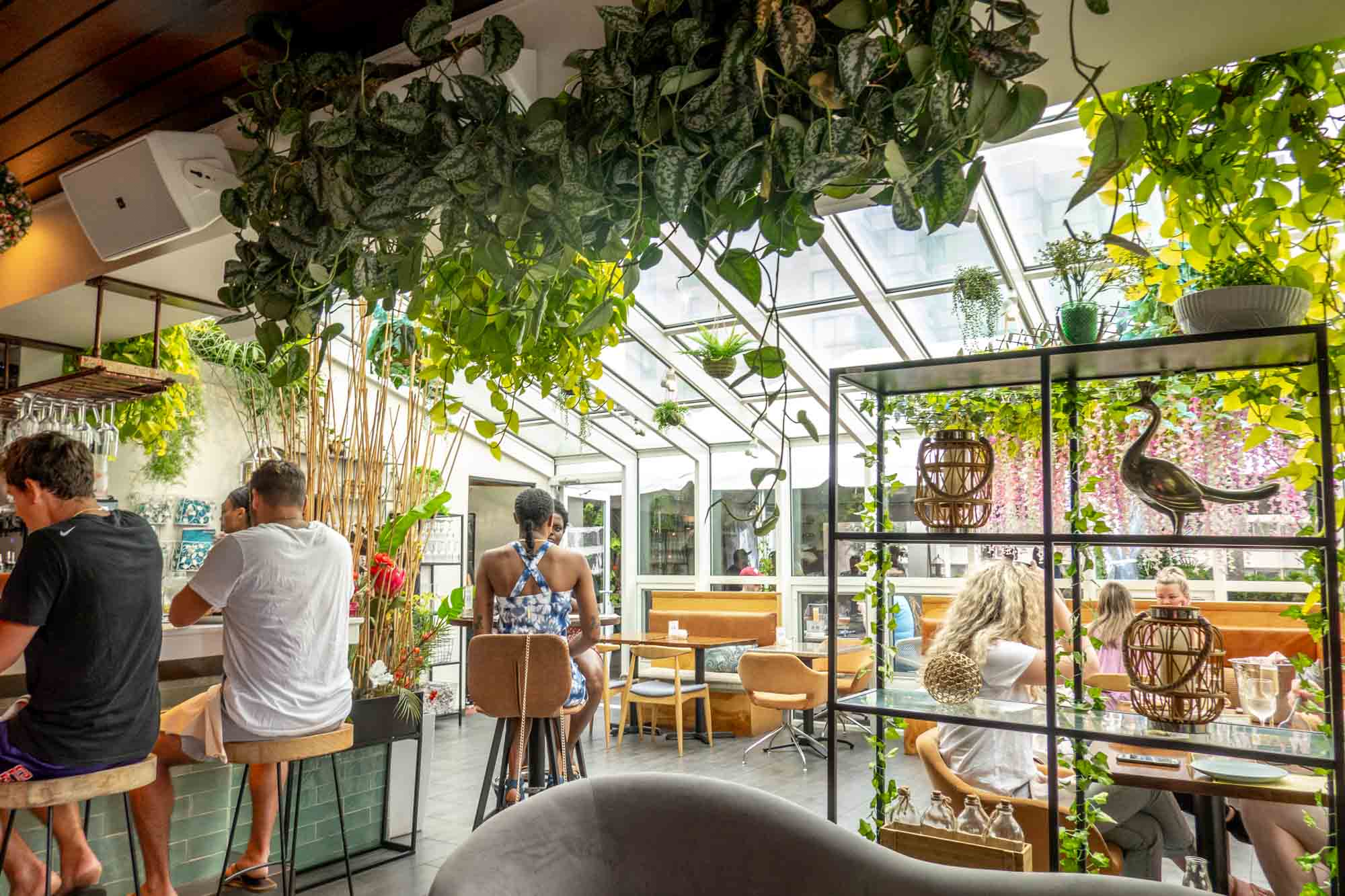 People seated inside a room with a glass roof decorated with plants.