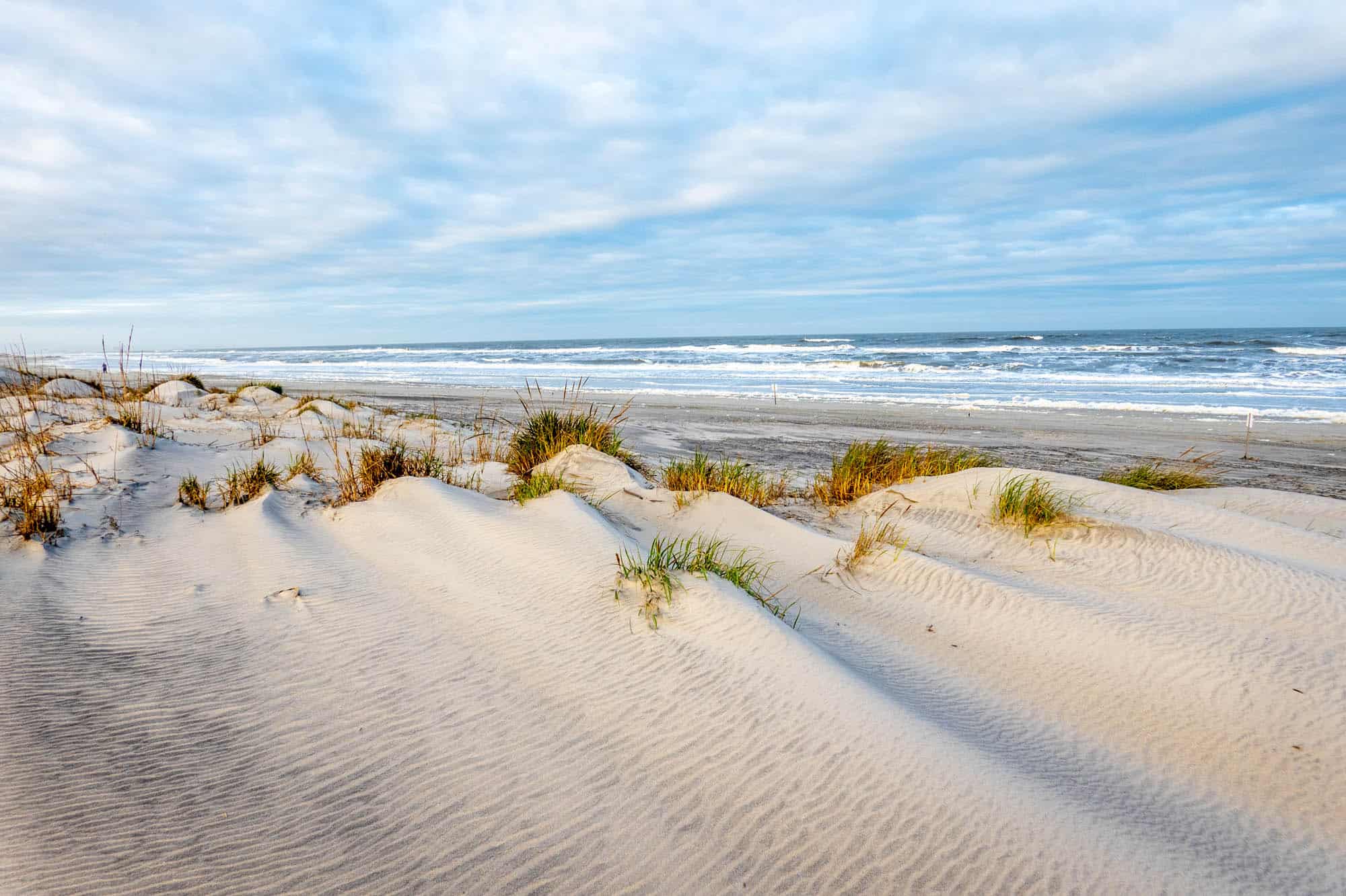 Sand dunes on a beach.