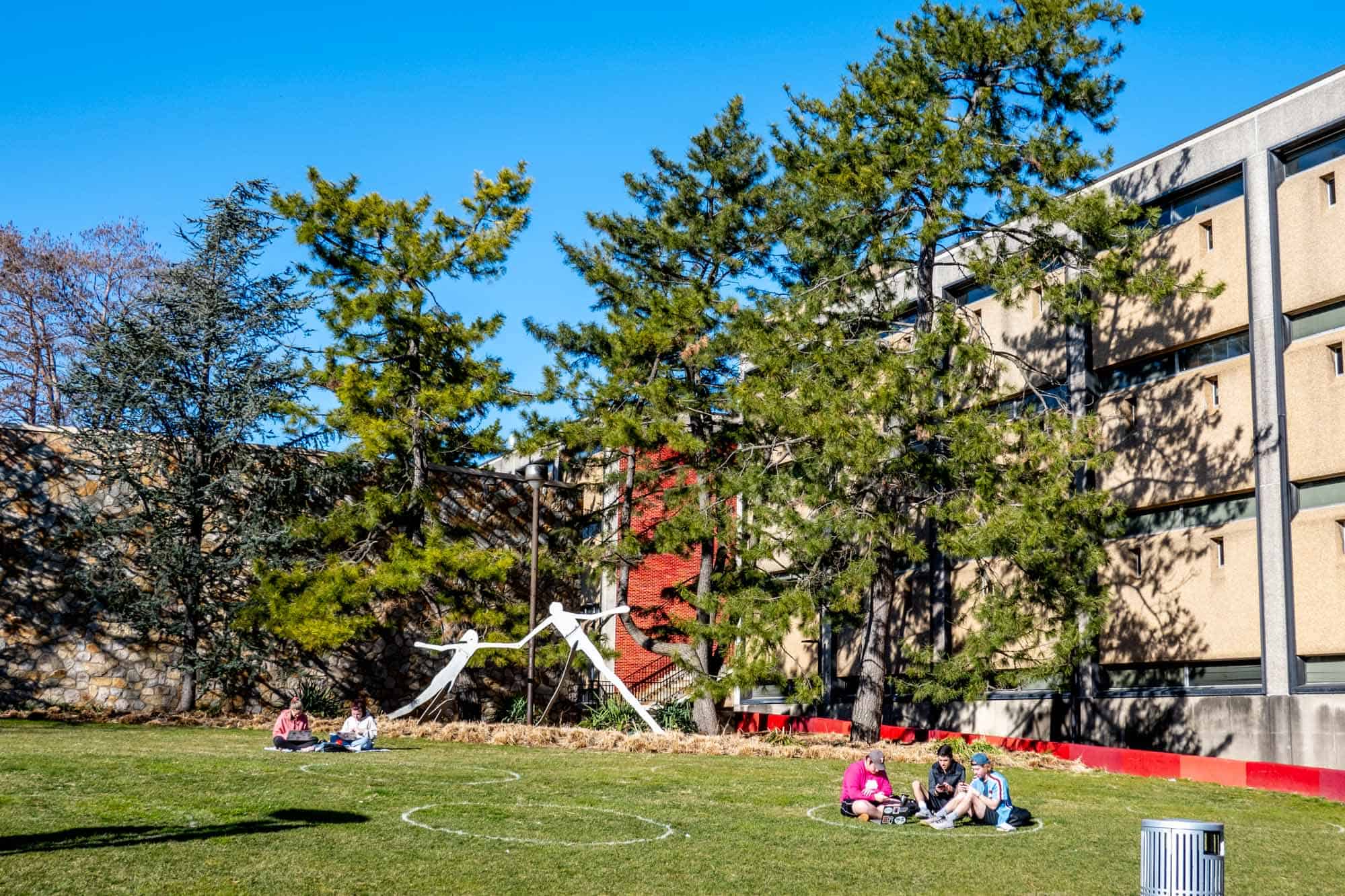 Students on grassy lawn