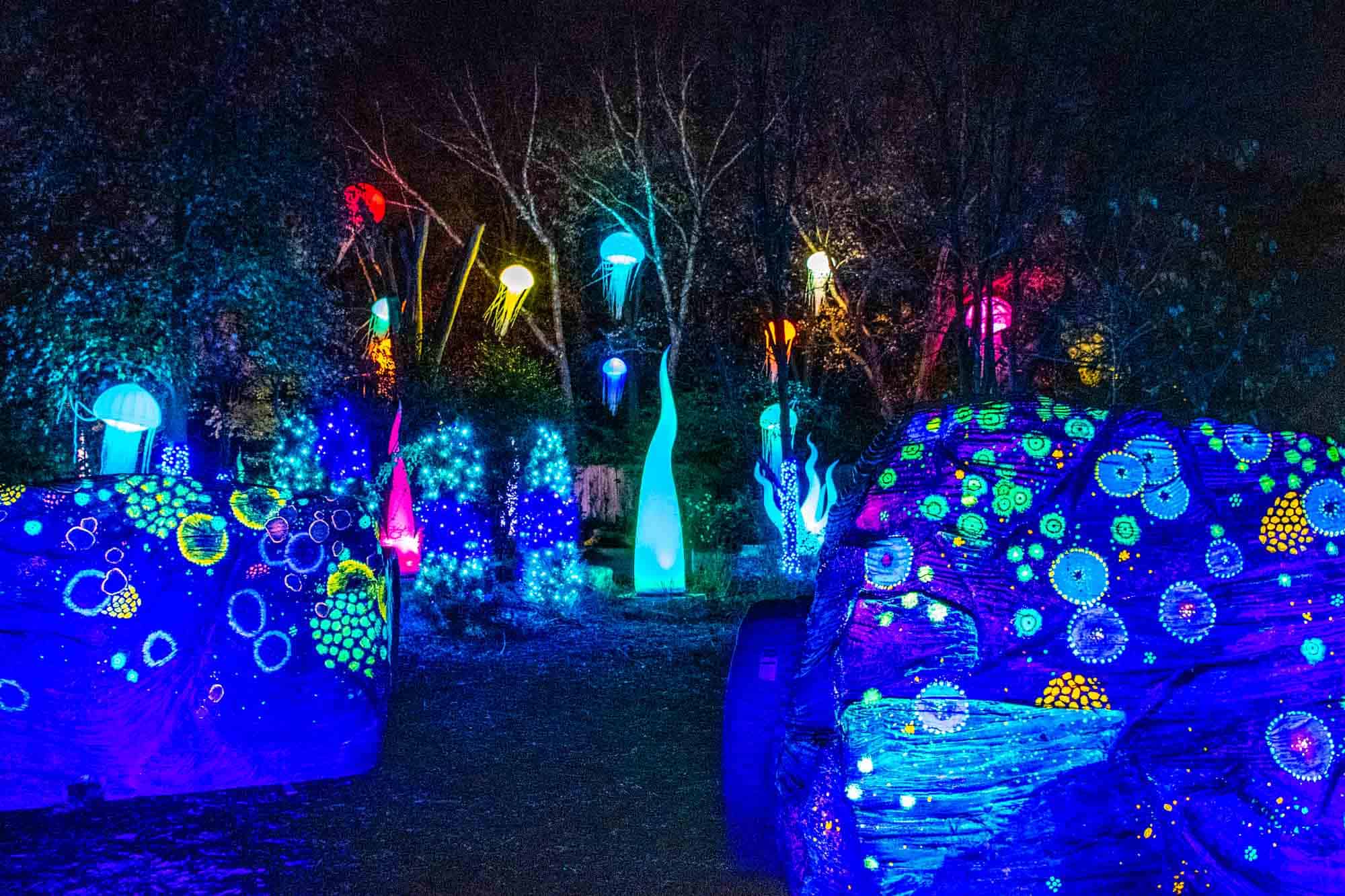 Rocks with brightly colored designs illuminated by blacklight beside lit up giant jellyfish 