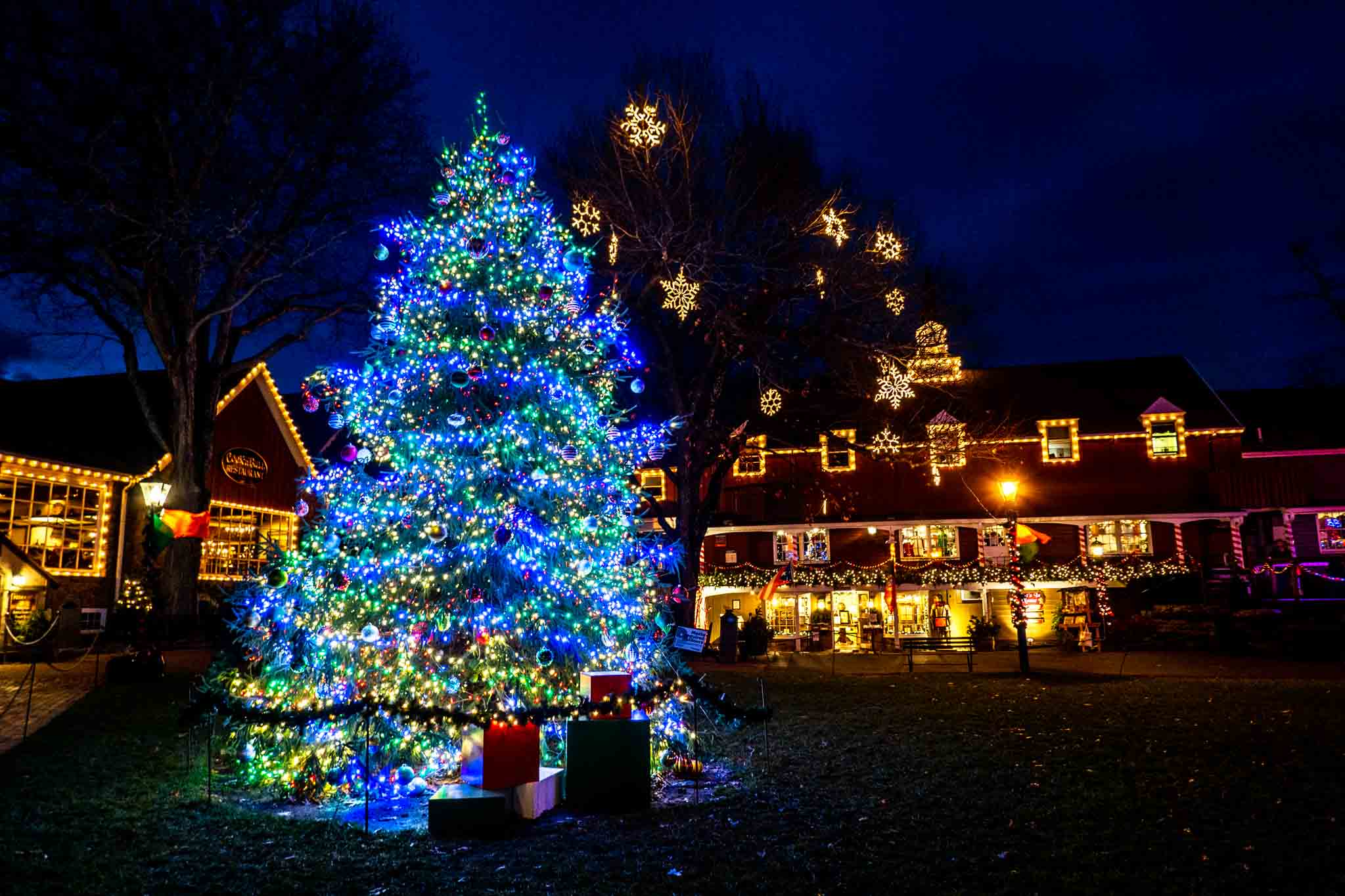 Christmas tree and building decorated with lights.