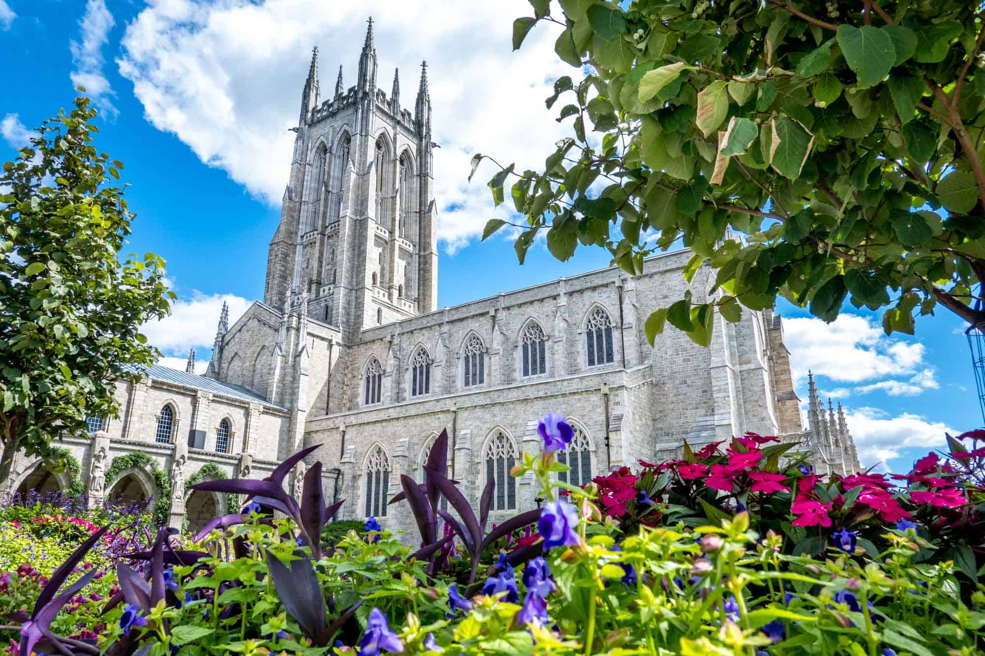 Flowers and trees outside a granite Gothic cathedral with a tower and stained-glass windows.