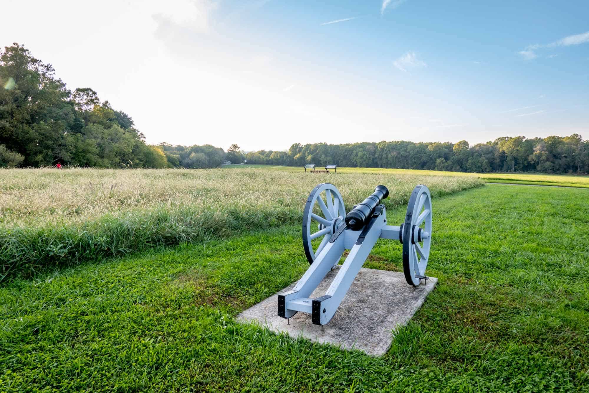 Blue cannon on a grassy field surrounded by trees.