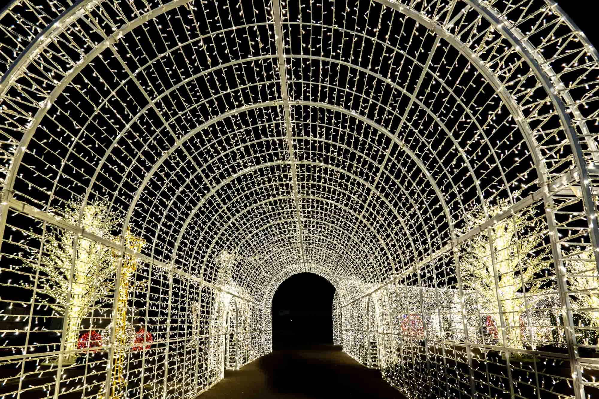Holiday white light tunnel