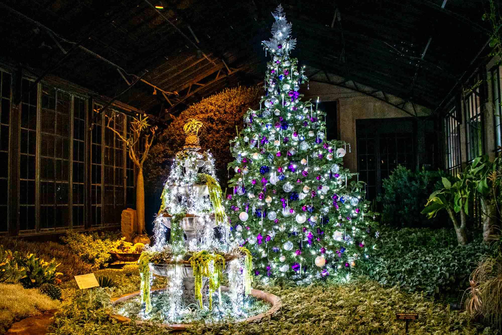 Christmas tree with purple and silver ornaments beside a fountain decorated with plants and silver strands