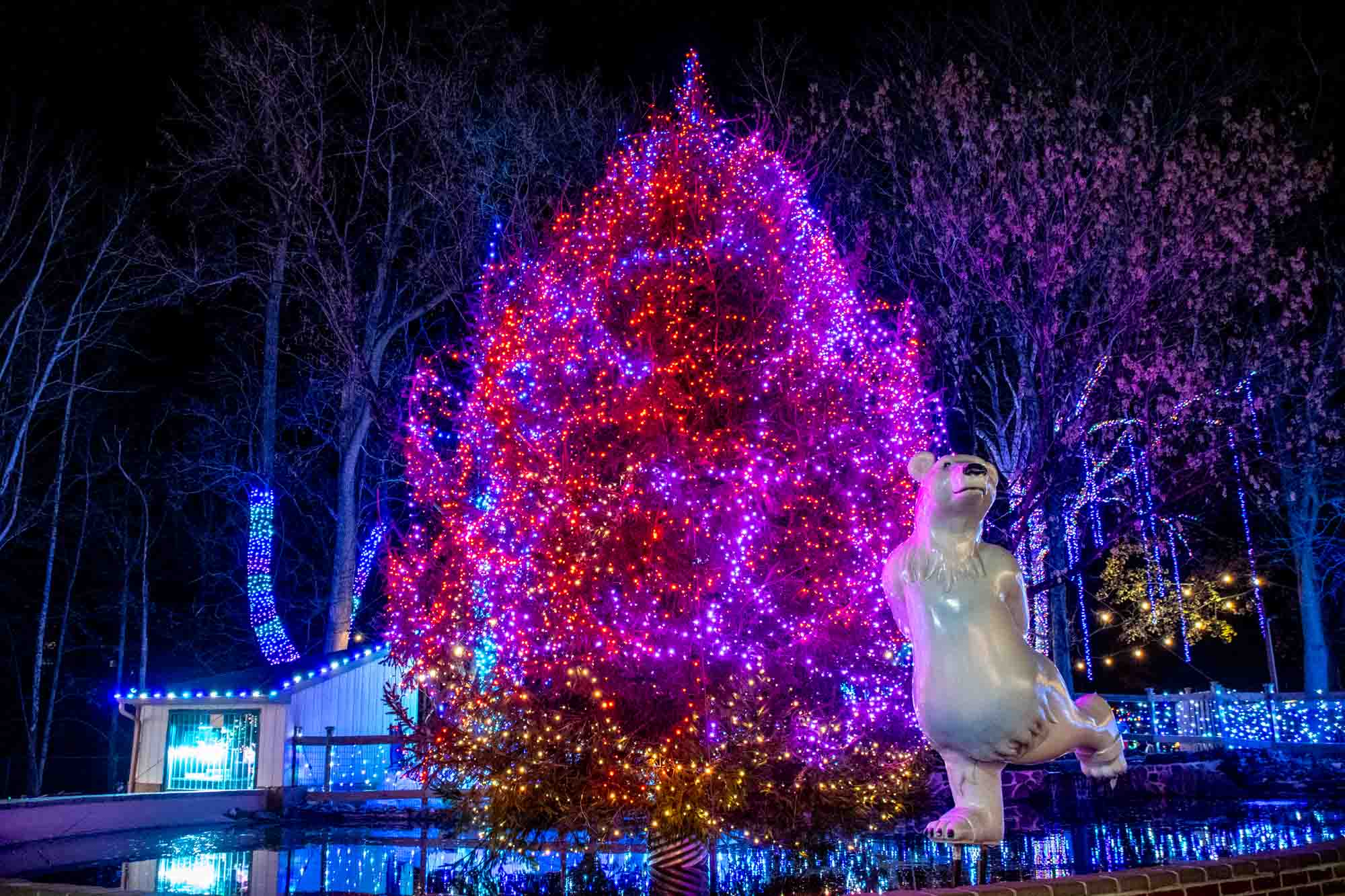 Lit Christmas tree behind a figurine of a polar bear.