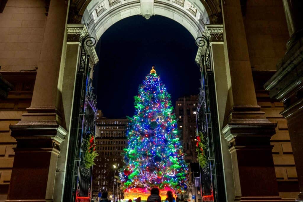 Large Christmas tree covered in lights framed by an arched doorway
