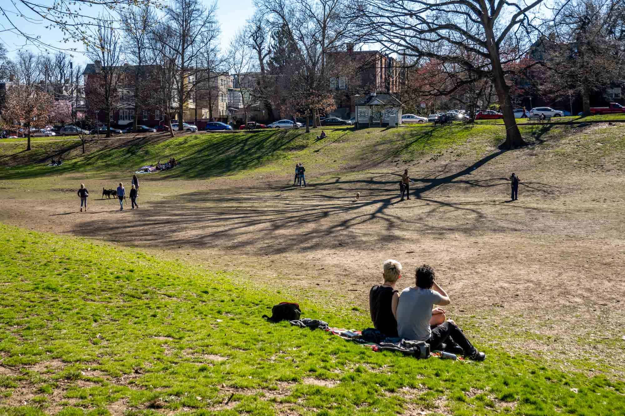 Couple sitting on grass in park.