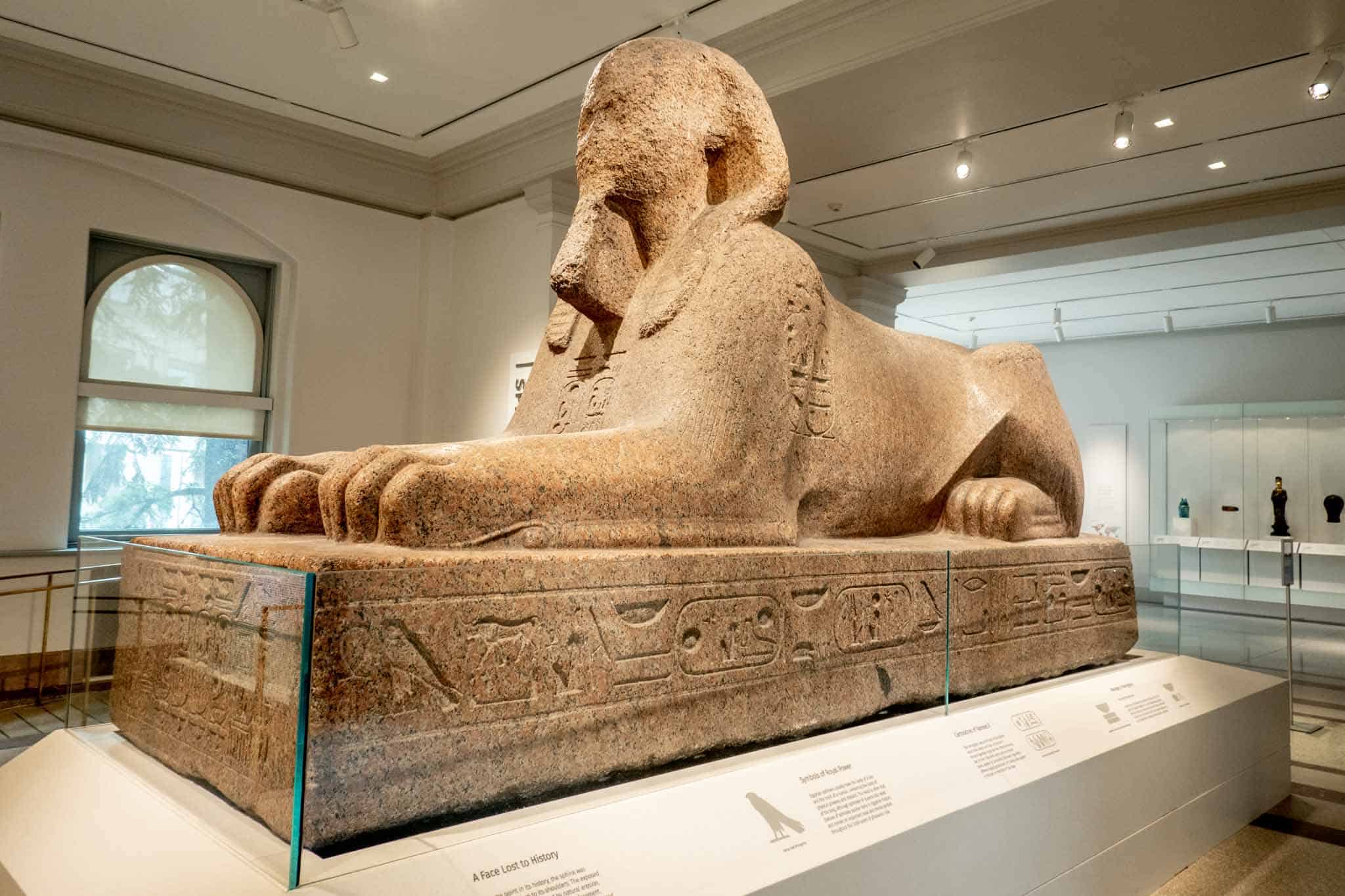 Marble sphinx displayed in a museum.