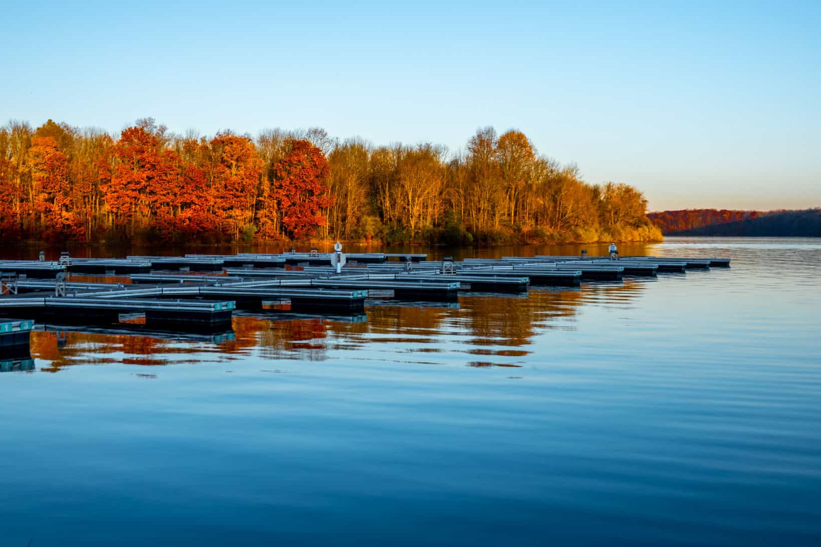 Trees with red and orange leaves along the edge of a lake