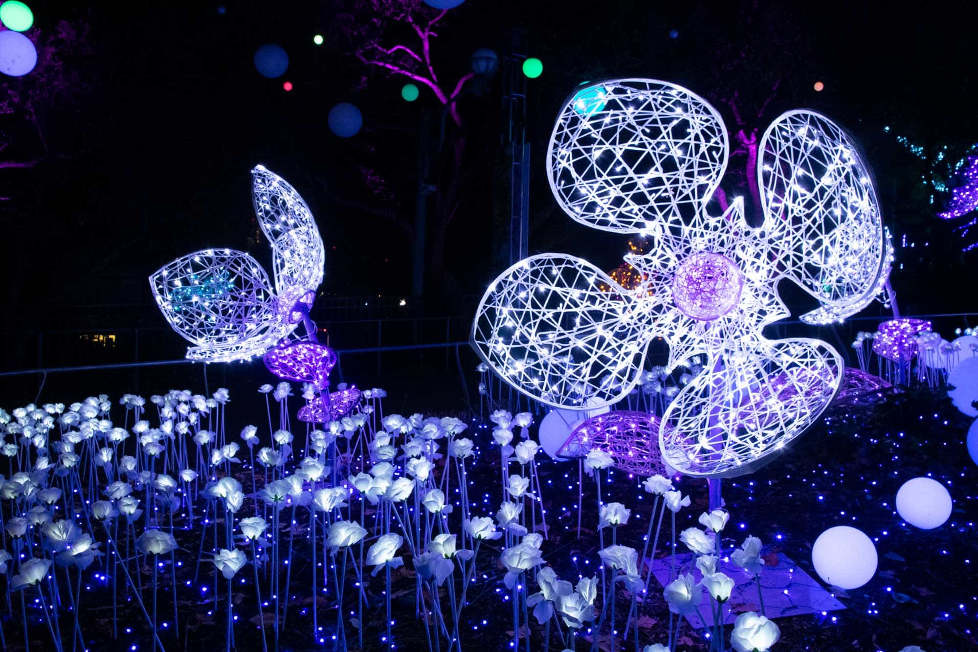 Light display featuring sculptural flowers.