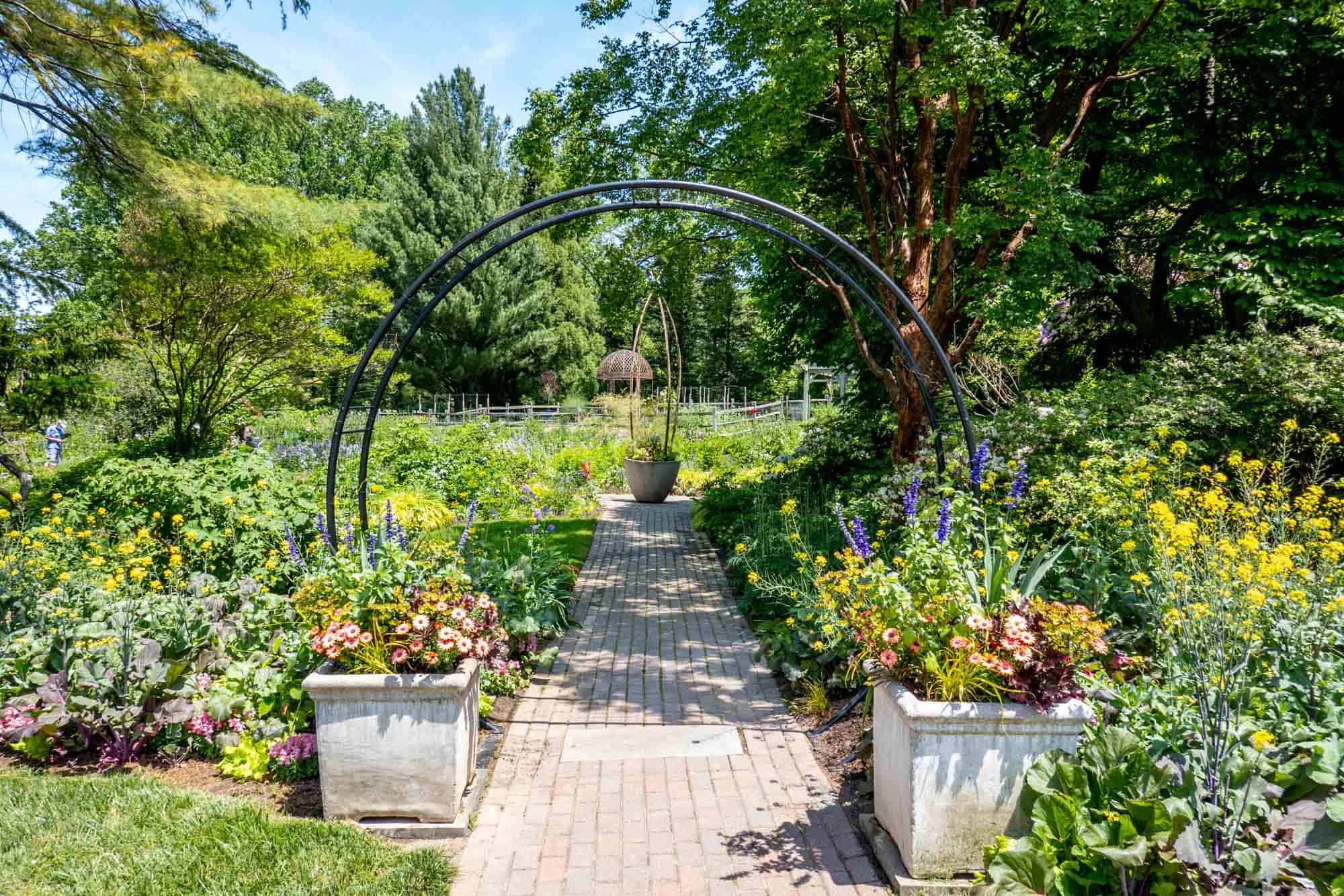 Flowers in a formal garden with sidewalk