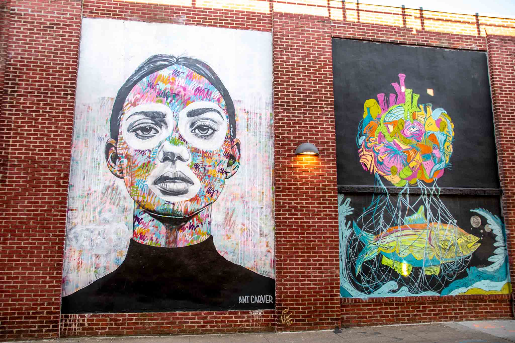 Mural of a woman's face beside a mural of a fish in a net