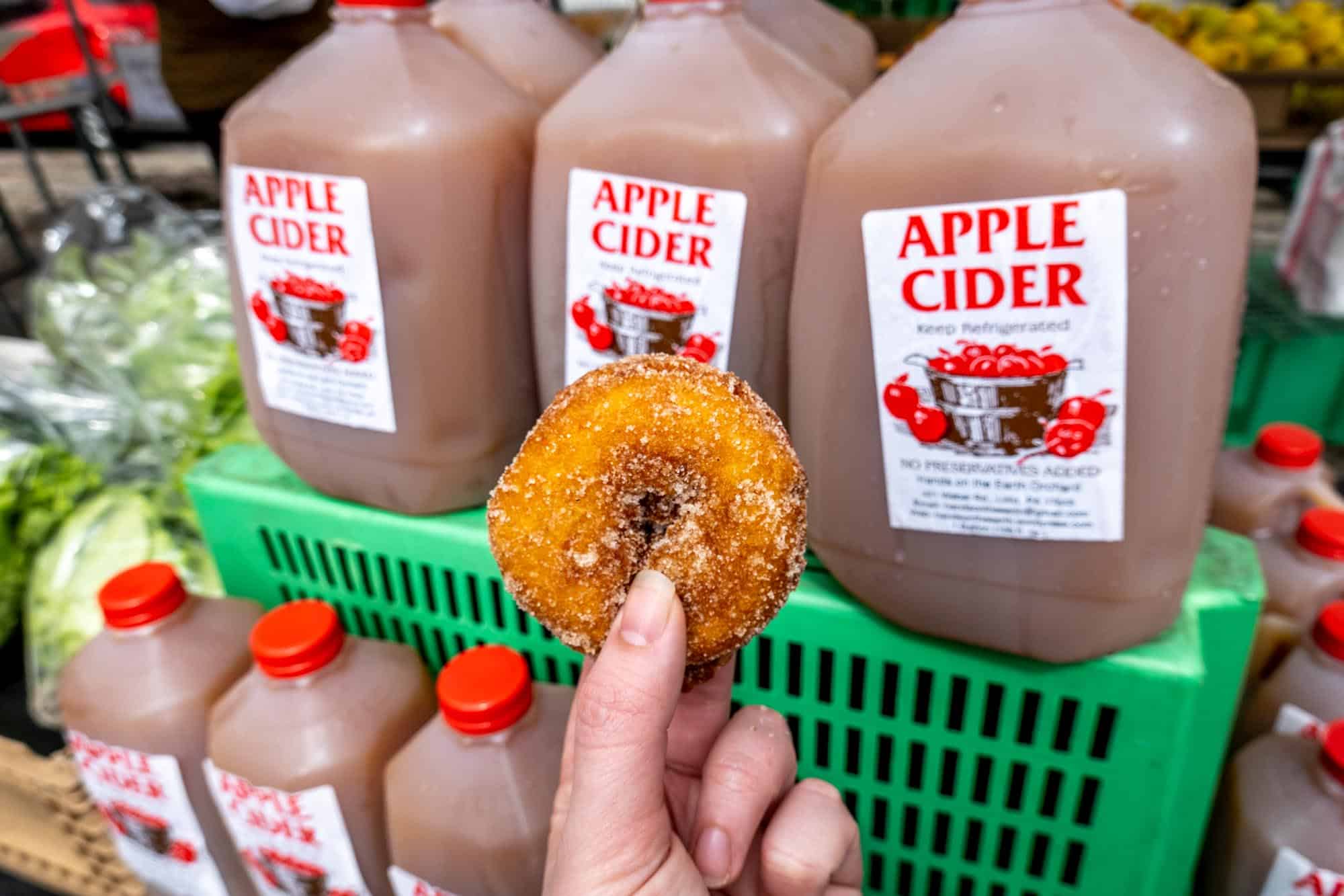 Hand holding an apple cider donut in front of gallons of apple cider.