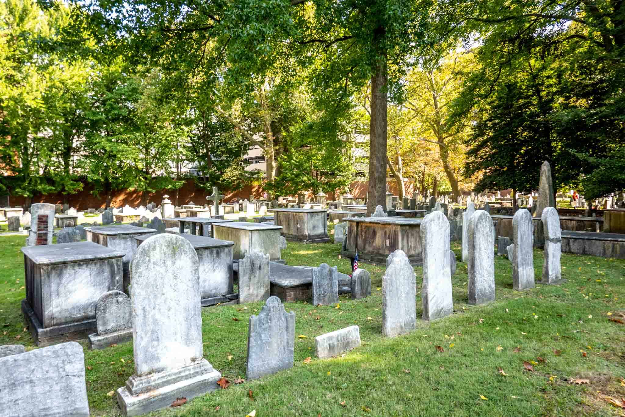 Rows of old tombstones in a burial ground surrounded by trees.