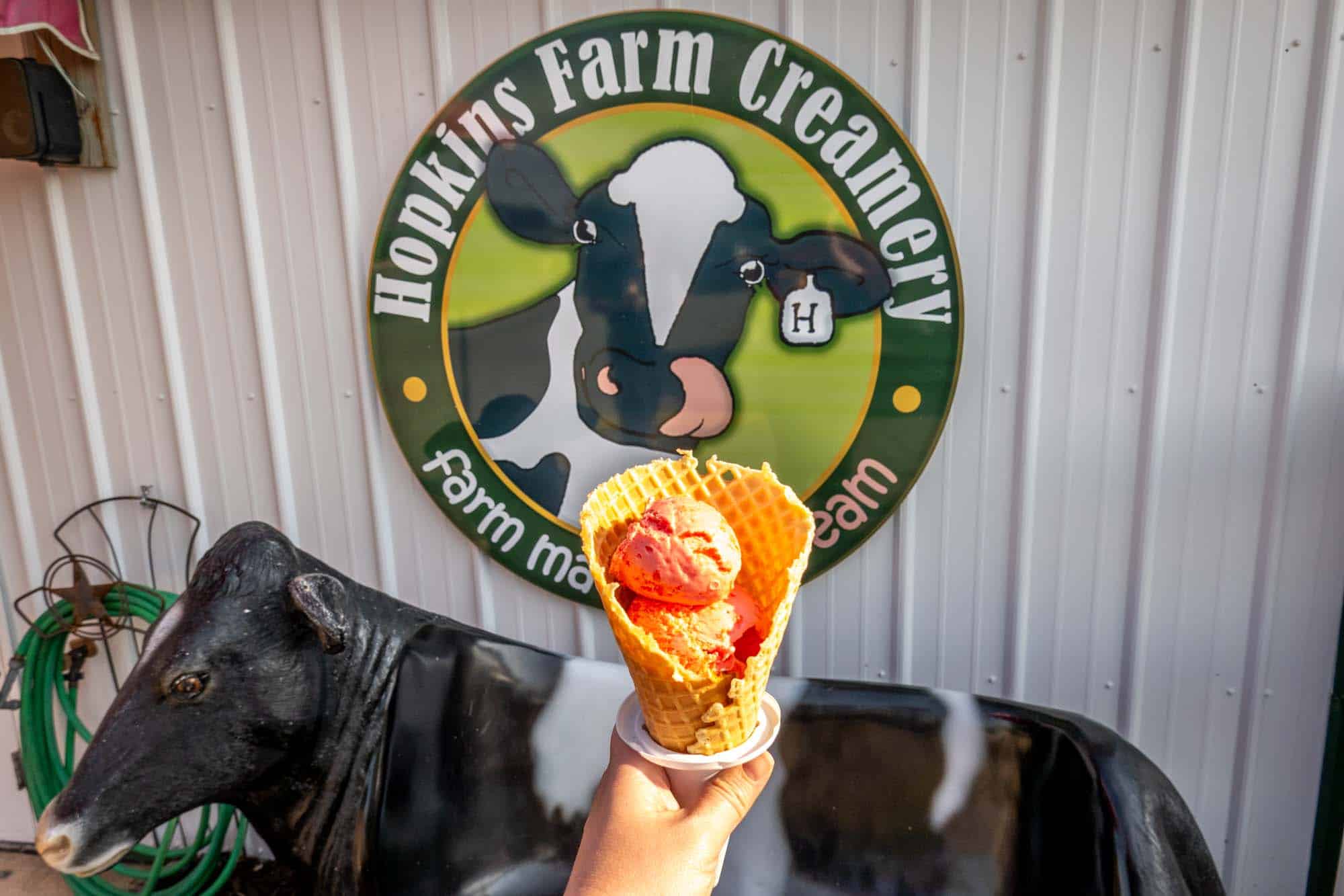 Ice cream cone in front of a sign for "Hopkins Farm Creamery"
