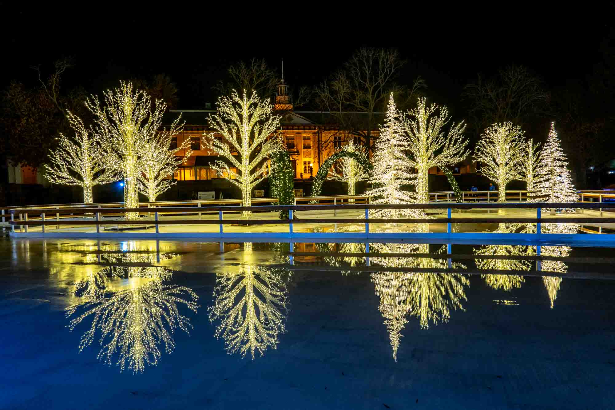 Illuminated trees reflecting on an ice skating rink.