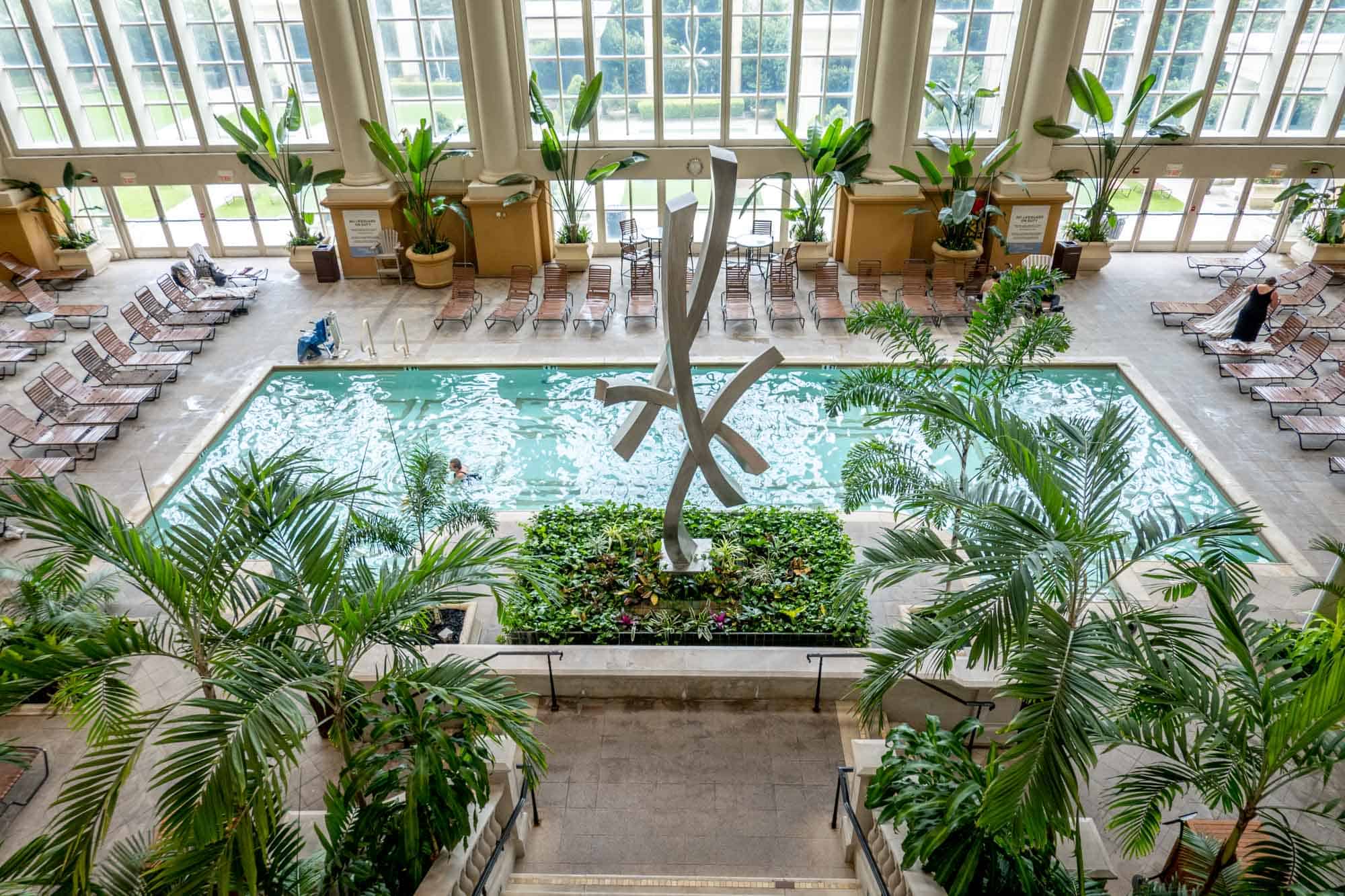 Indoor pool surrounded by plants and sun chairs.