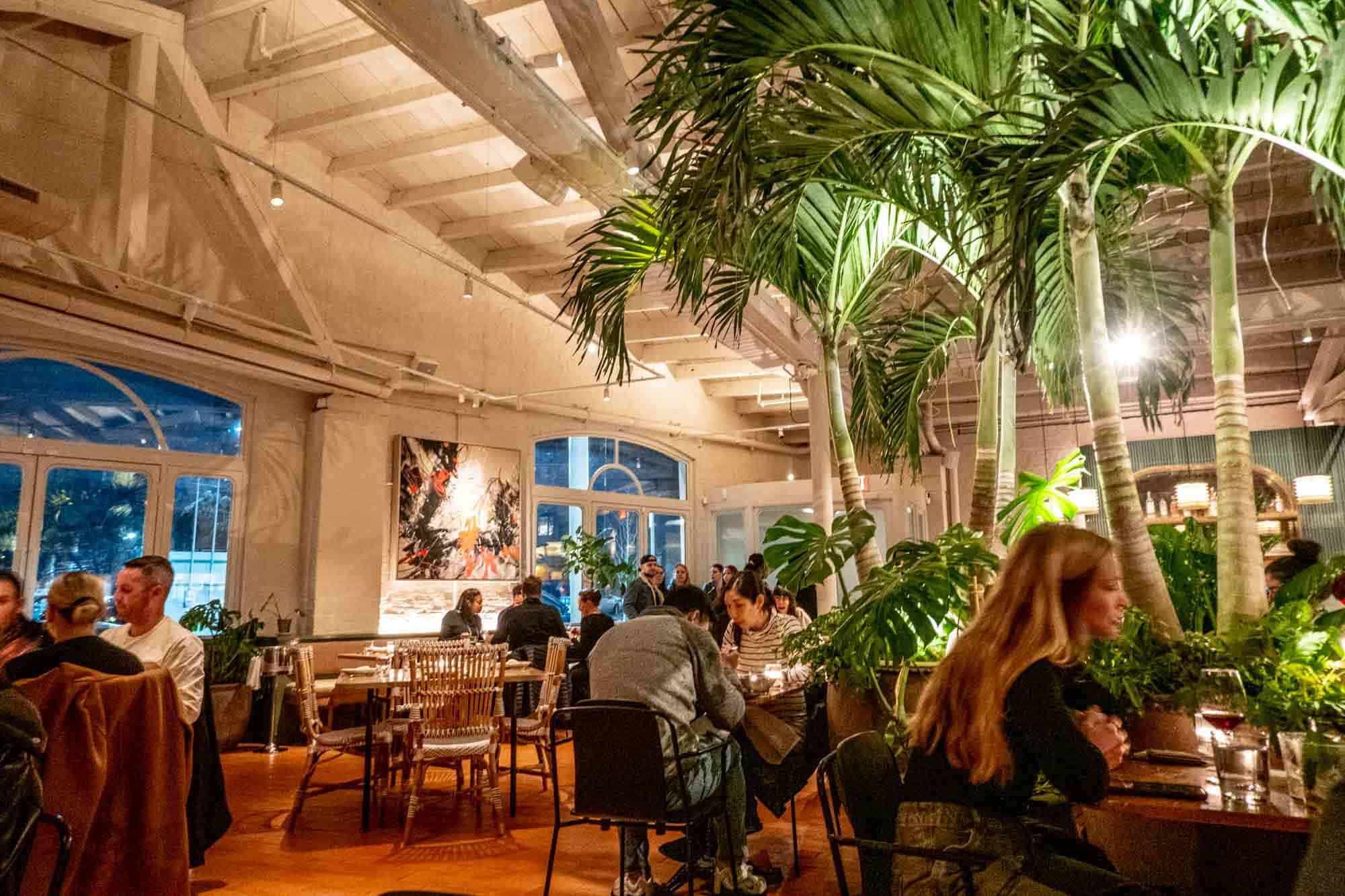 Patrons dining in a restaurant with palm trees in the center.