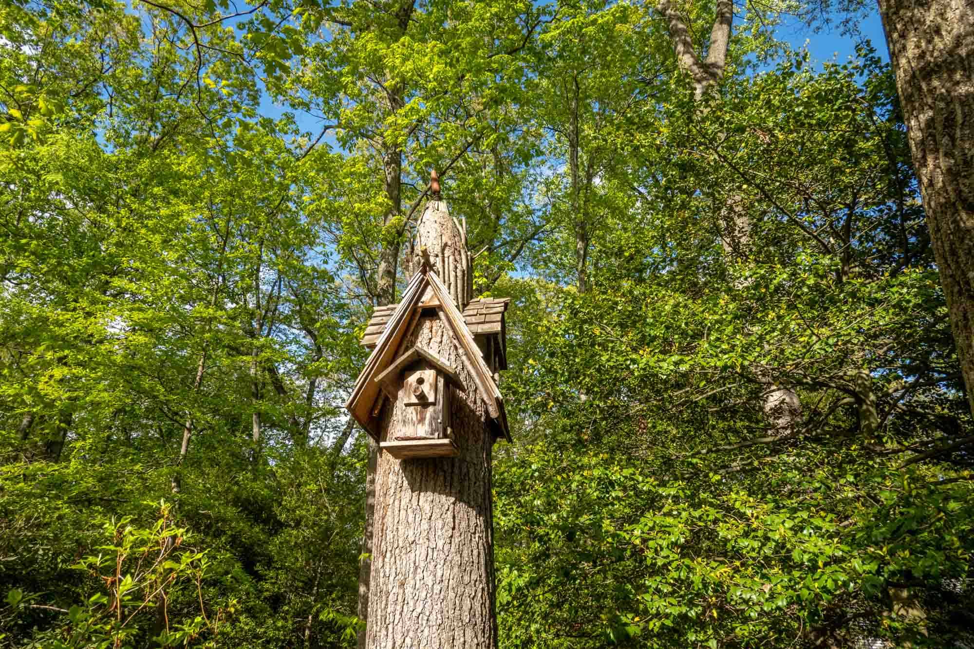 Birdhouse carved into tree stump