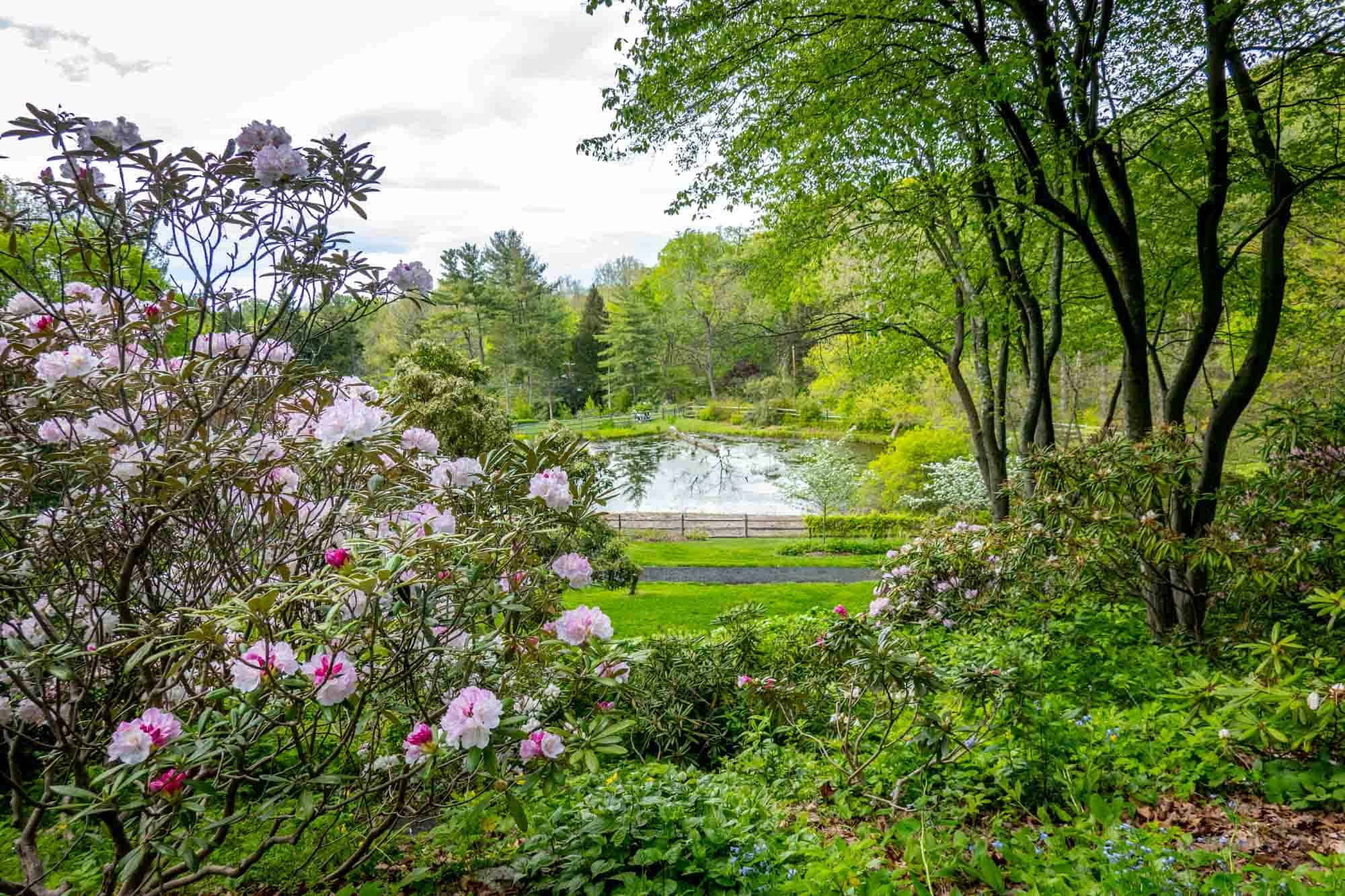 Jenkins Arboretum pond in the spring
