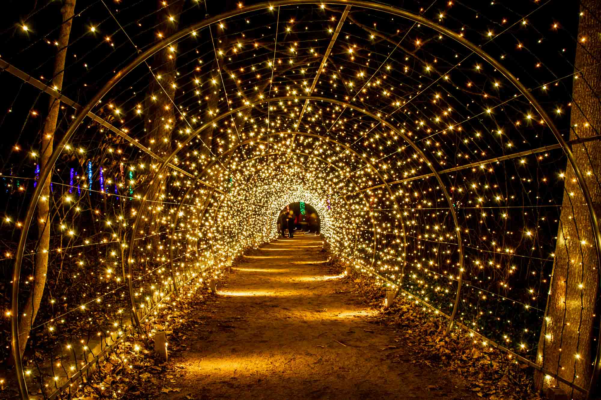 Tunnel made of white lights