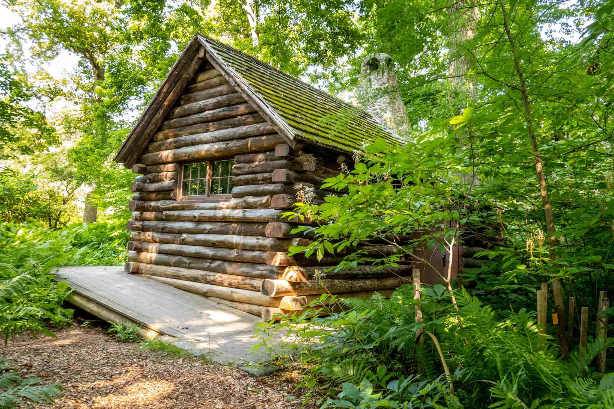 Log cabin surrounded by trees