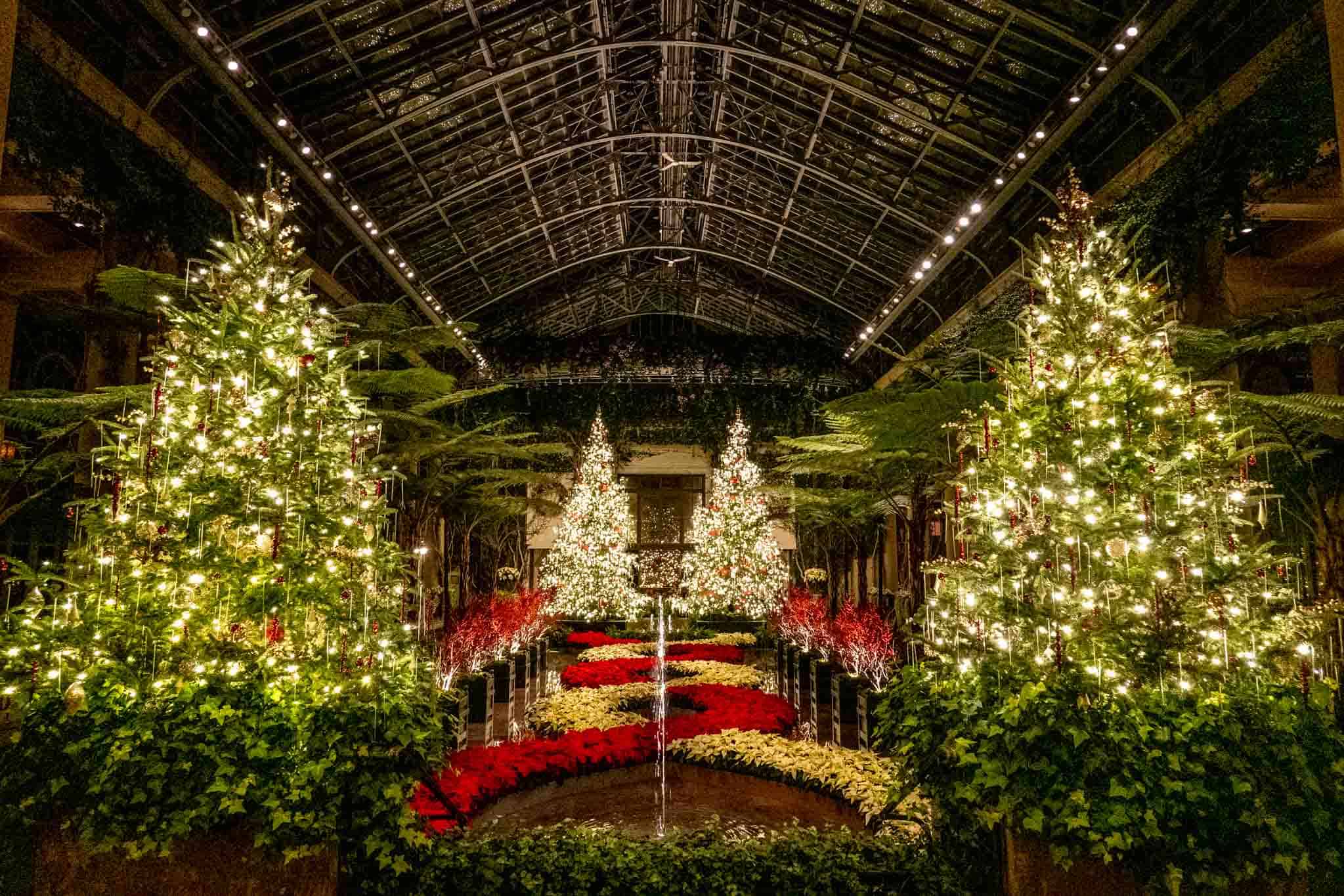 Lit Christmas trees and poinsettias around a water feature.