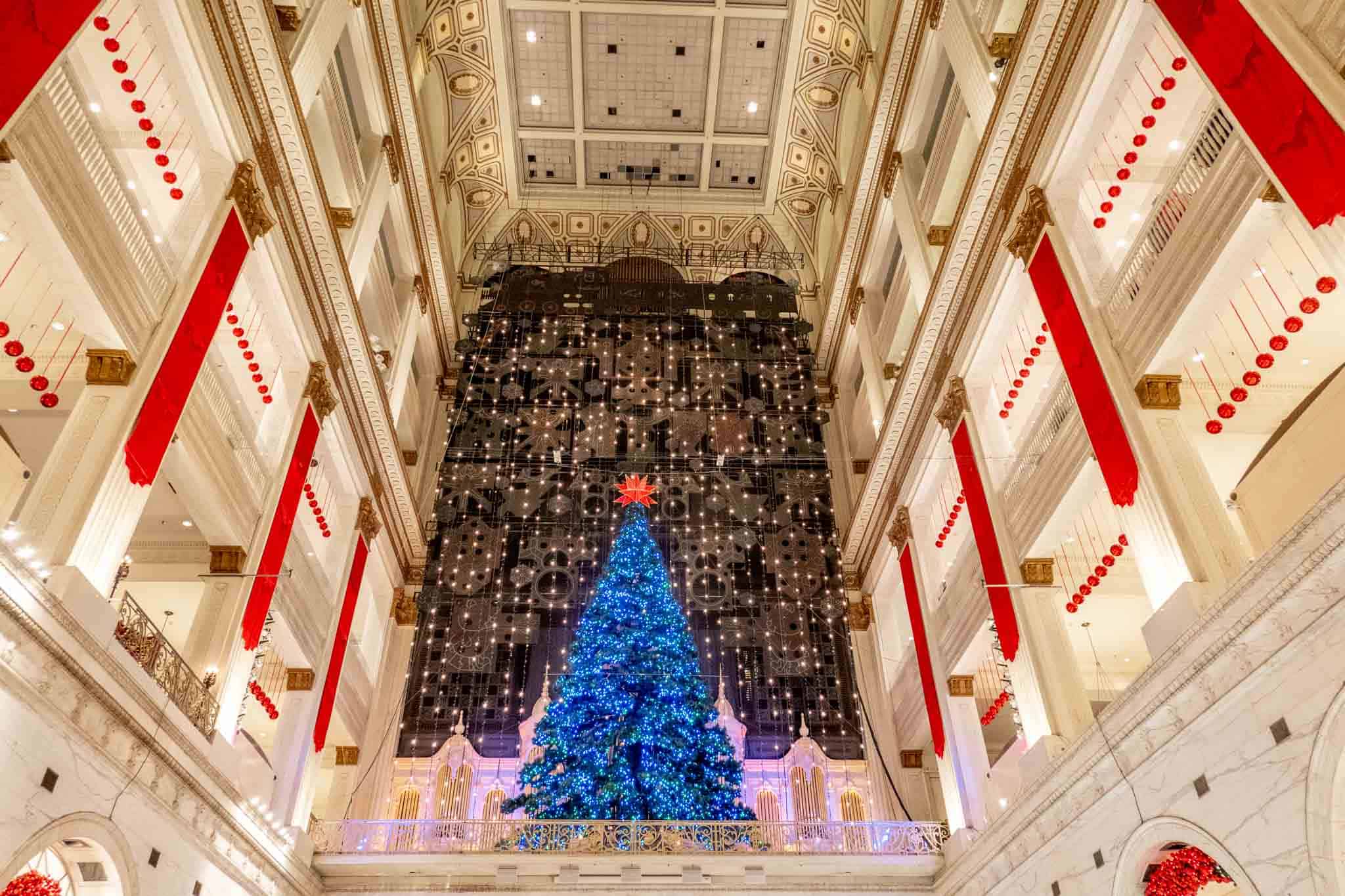 Christmas tree made of blue lights hanging on a wall