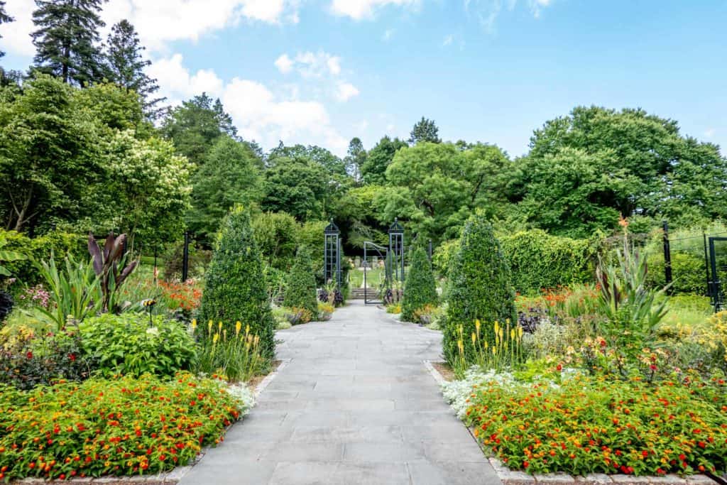 Garden pathway lined with plants, flowers, and trees
