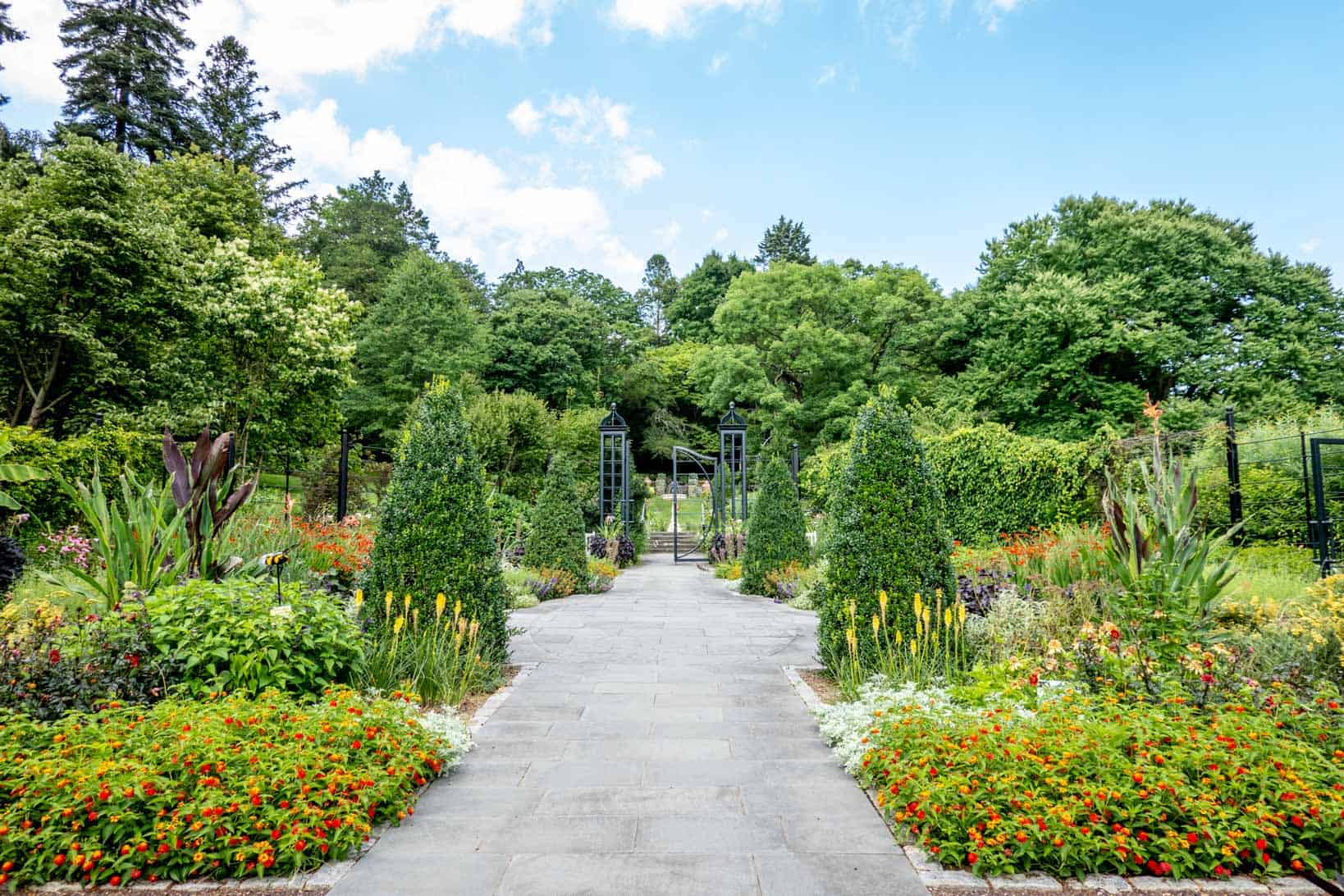 Garden pathway lined with plants, flowers, and trees.