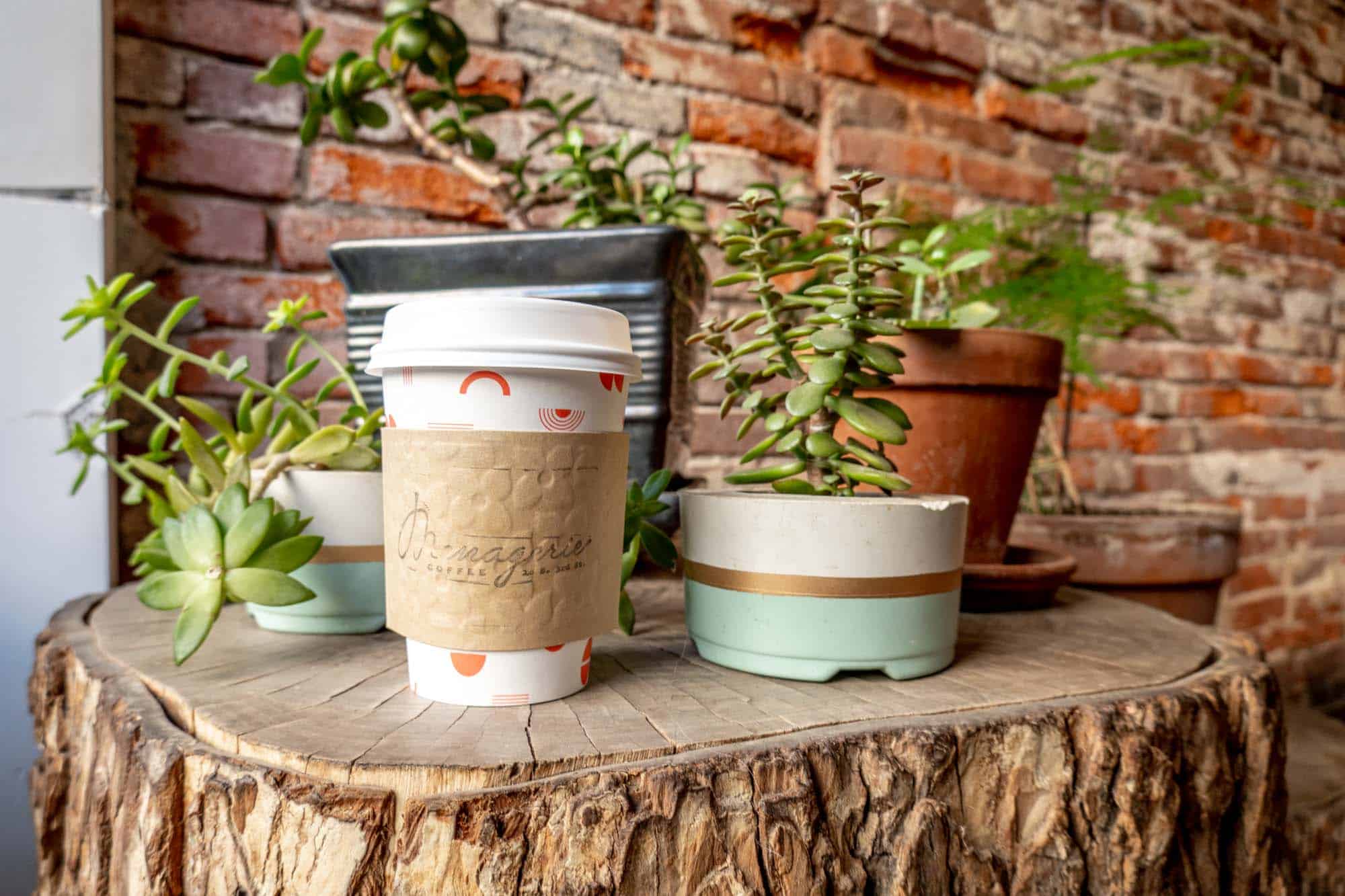 Coffee cup with a sleeve labeled "Menagerie Coffee" sitting on a tree stump beside potted plants.