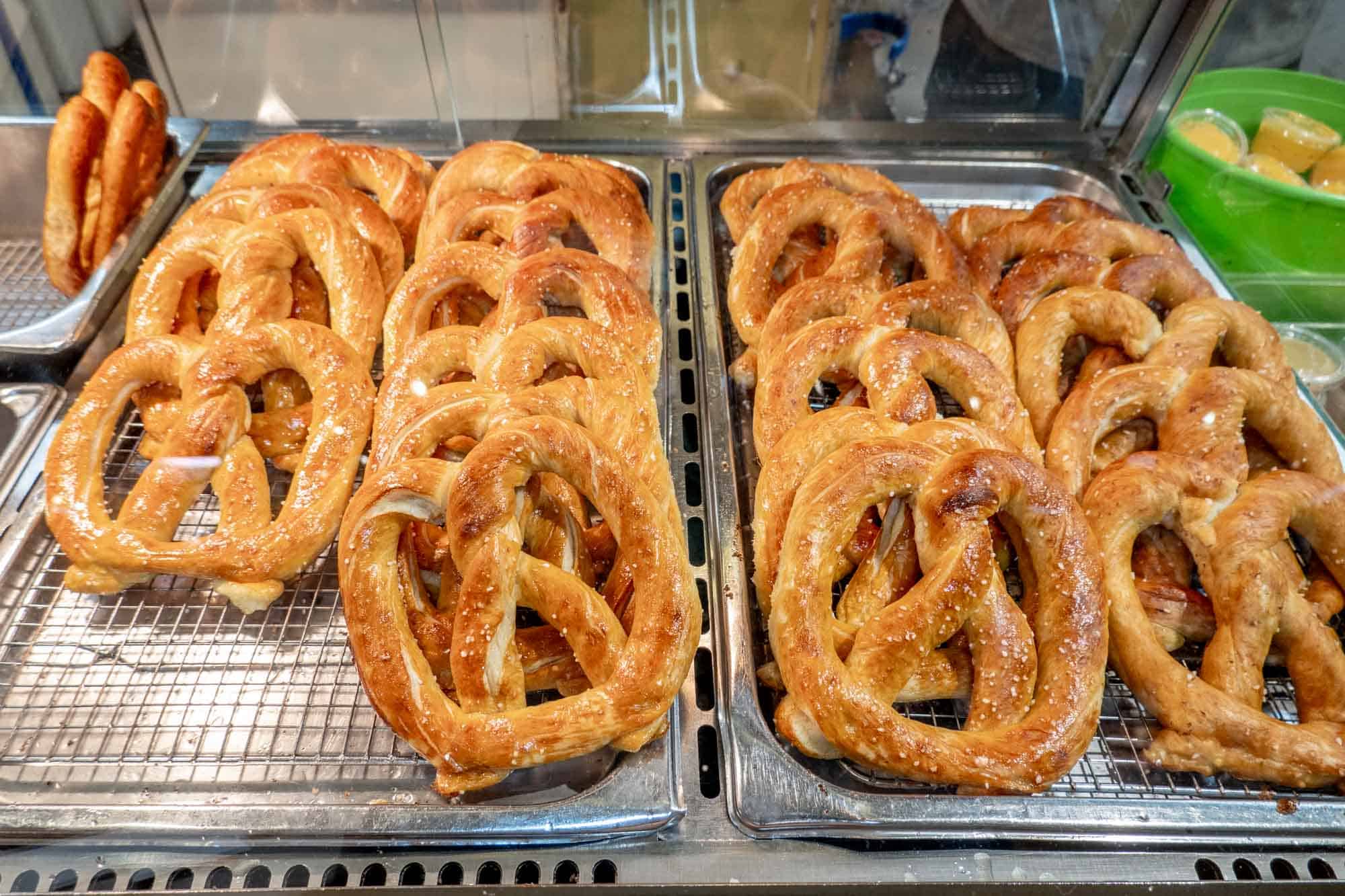 Trays of buttered soft pretzels on display.