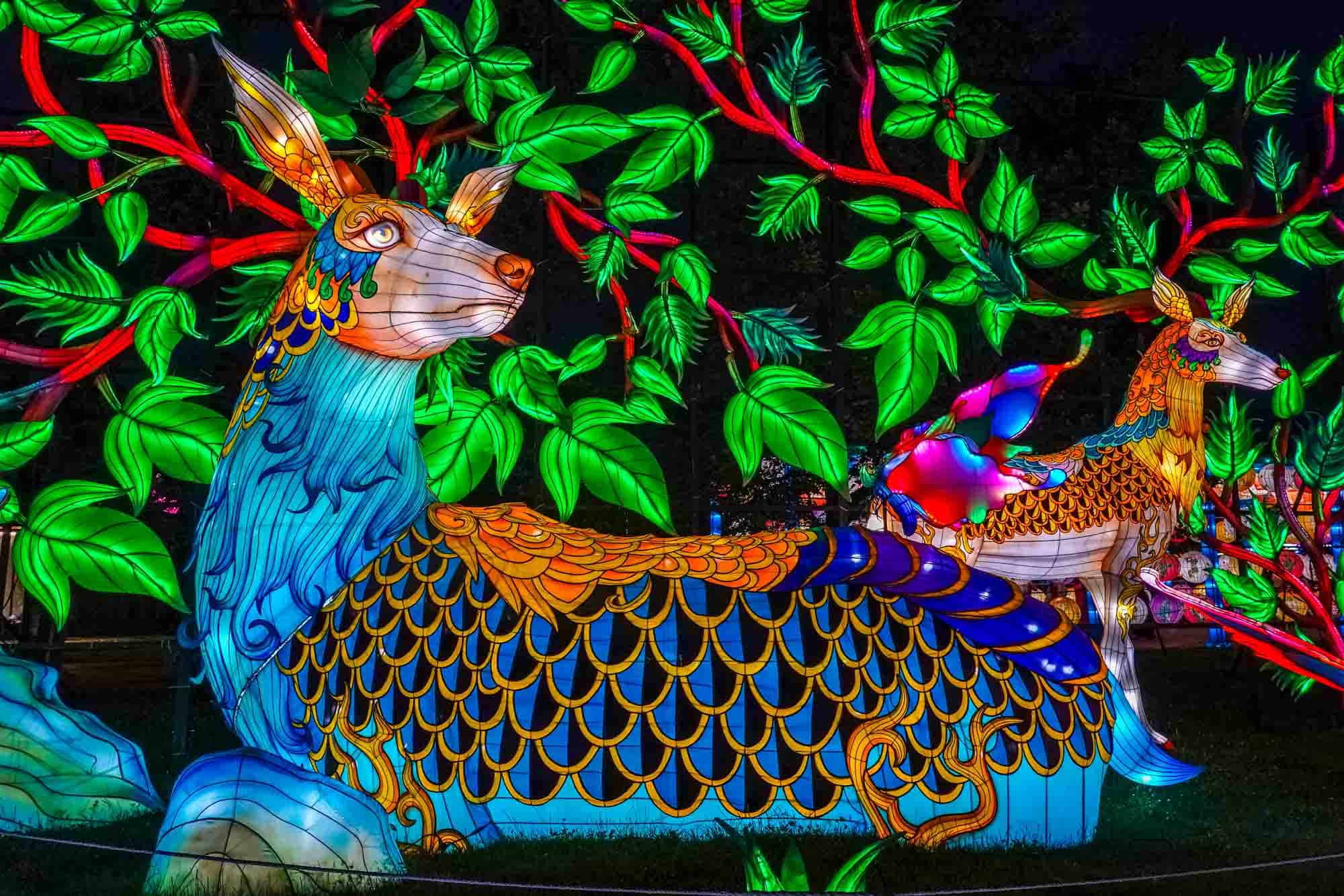 Two mythical deer sculptures lit up.