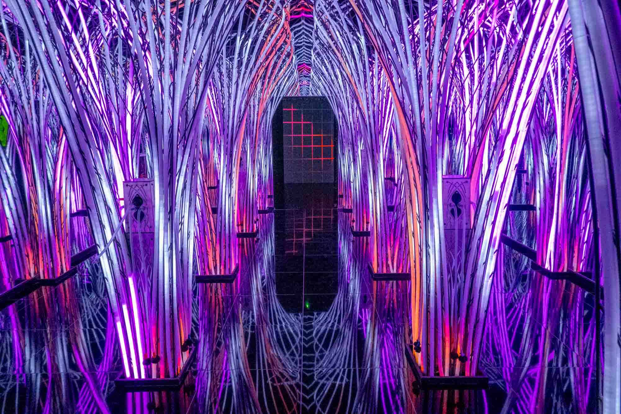 Trees made of colorful LED lights
