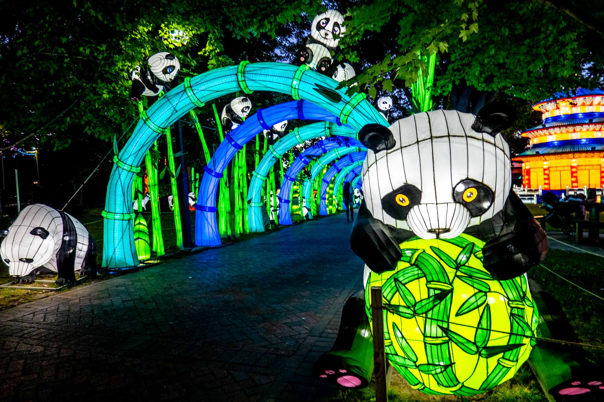 Panda and bamboo lanterns lit up at nights