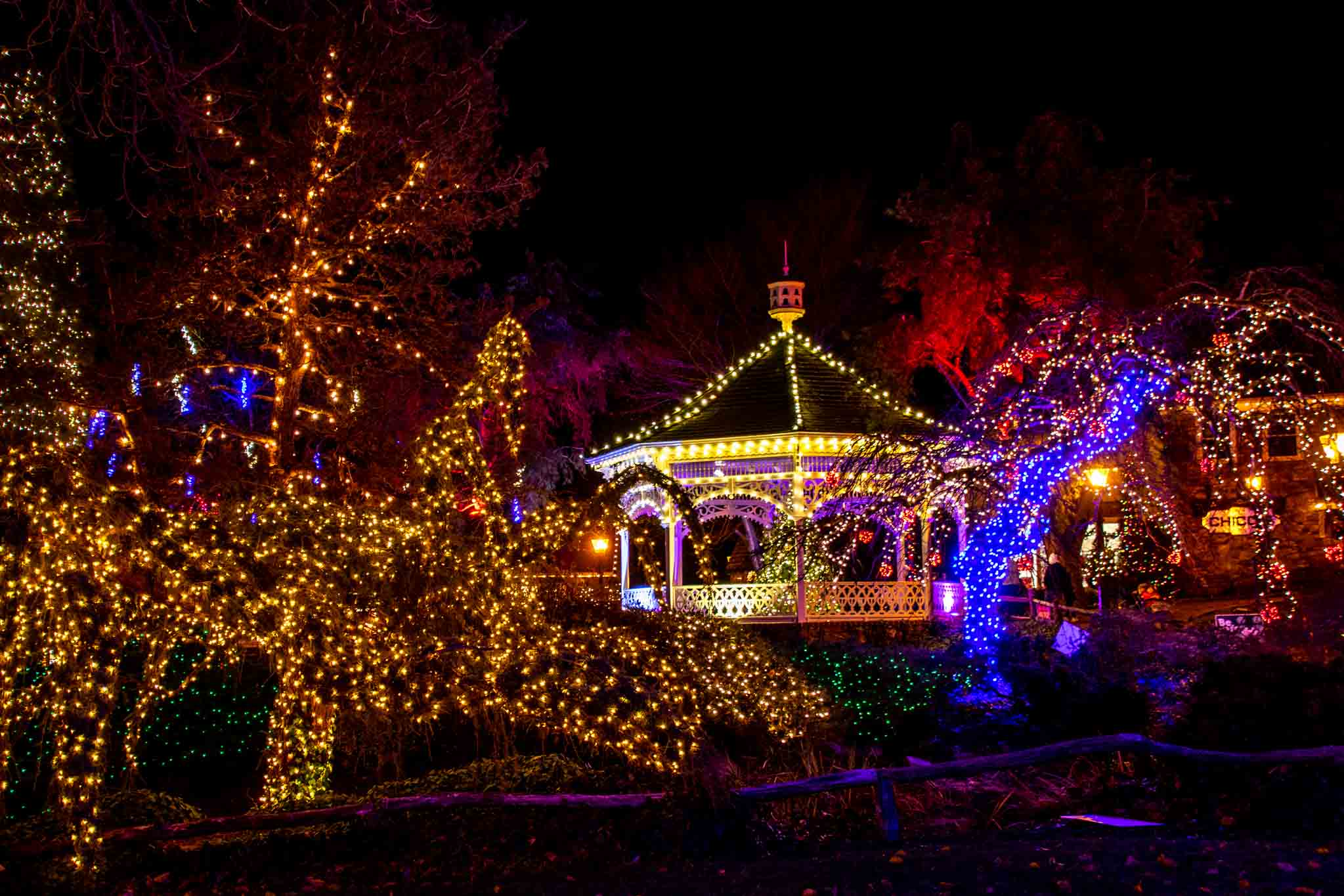 Trees and gazebo lit up with holiday lights at night