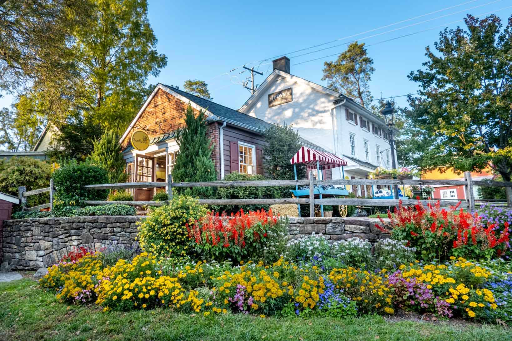 Colorful flower garden in front of two stores