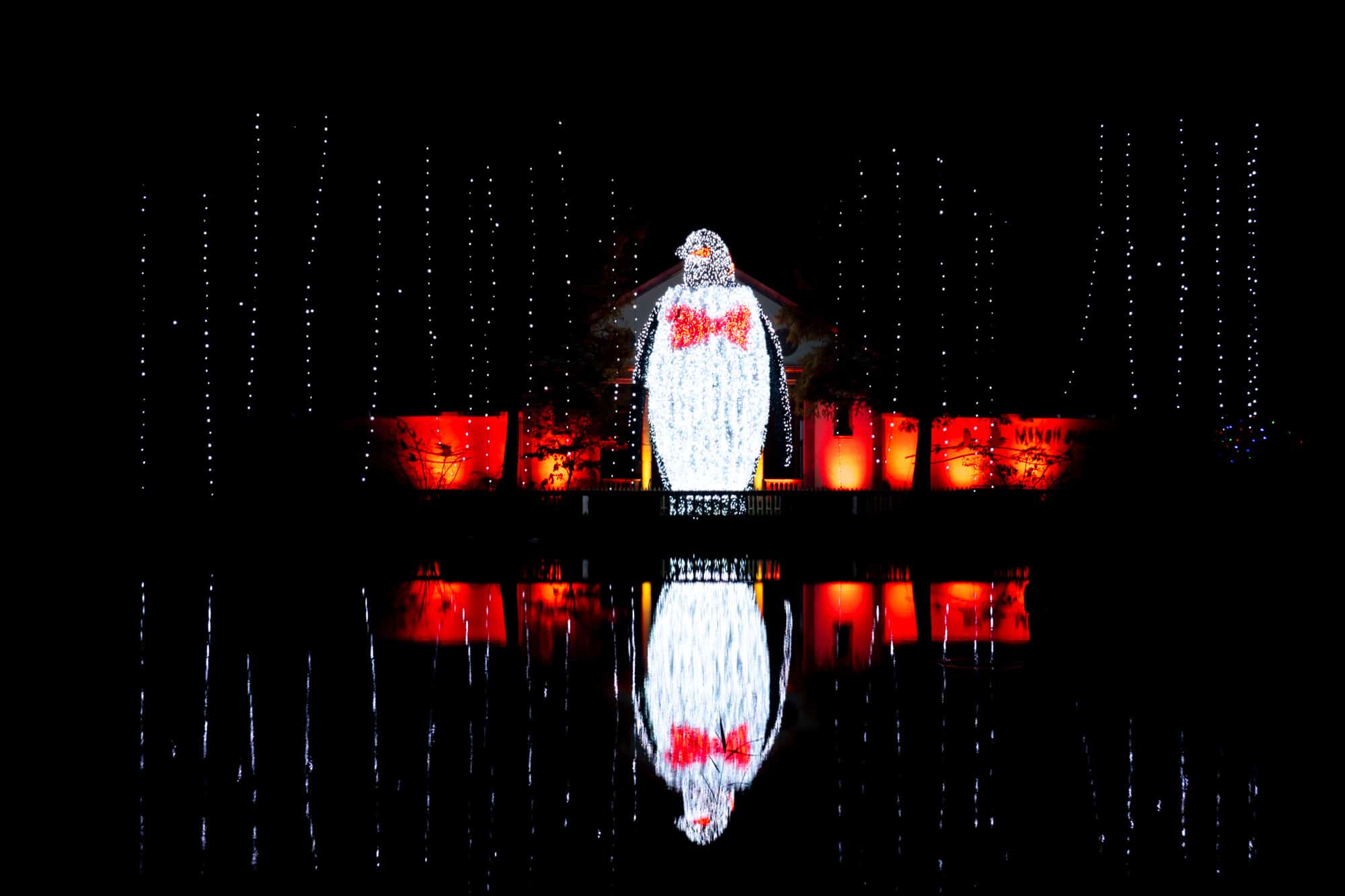 Large penguin sculpture covered in lights, which is reflected in a pond