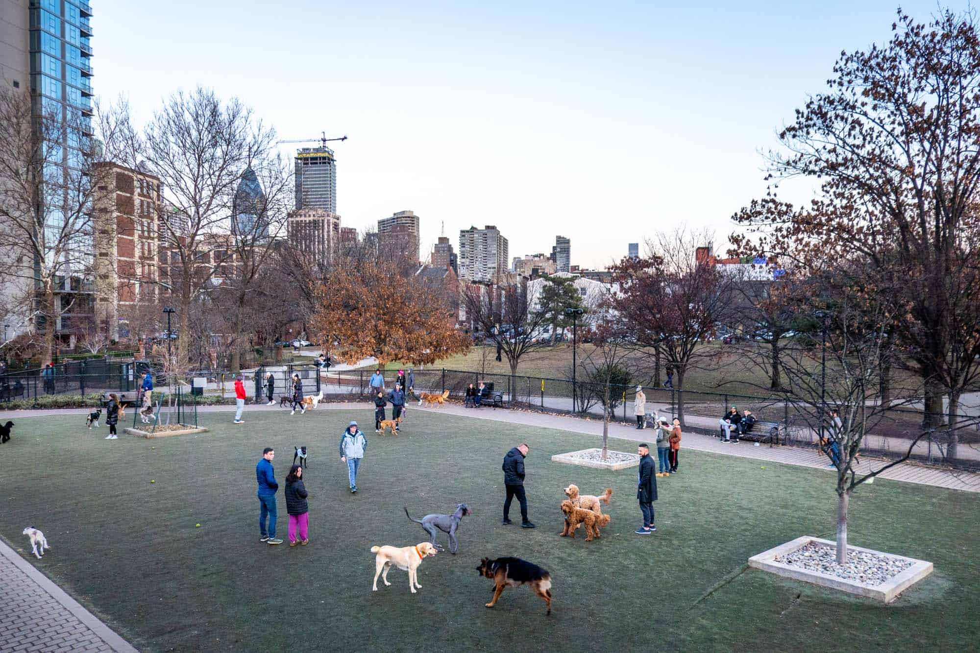 People and dogs at a city dog park.