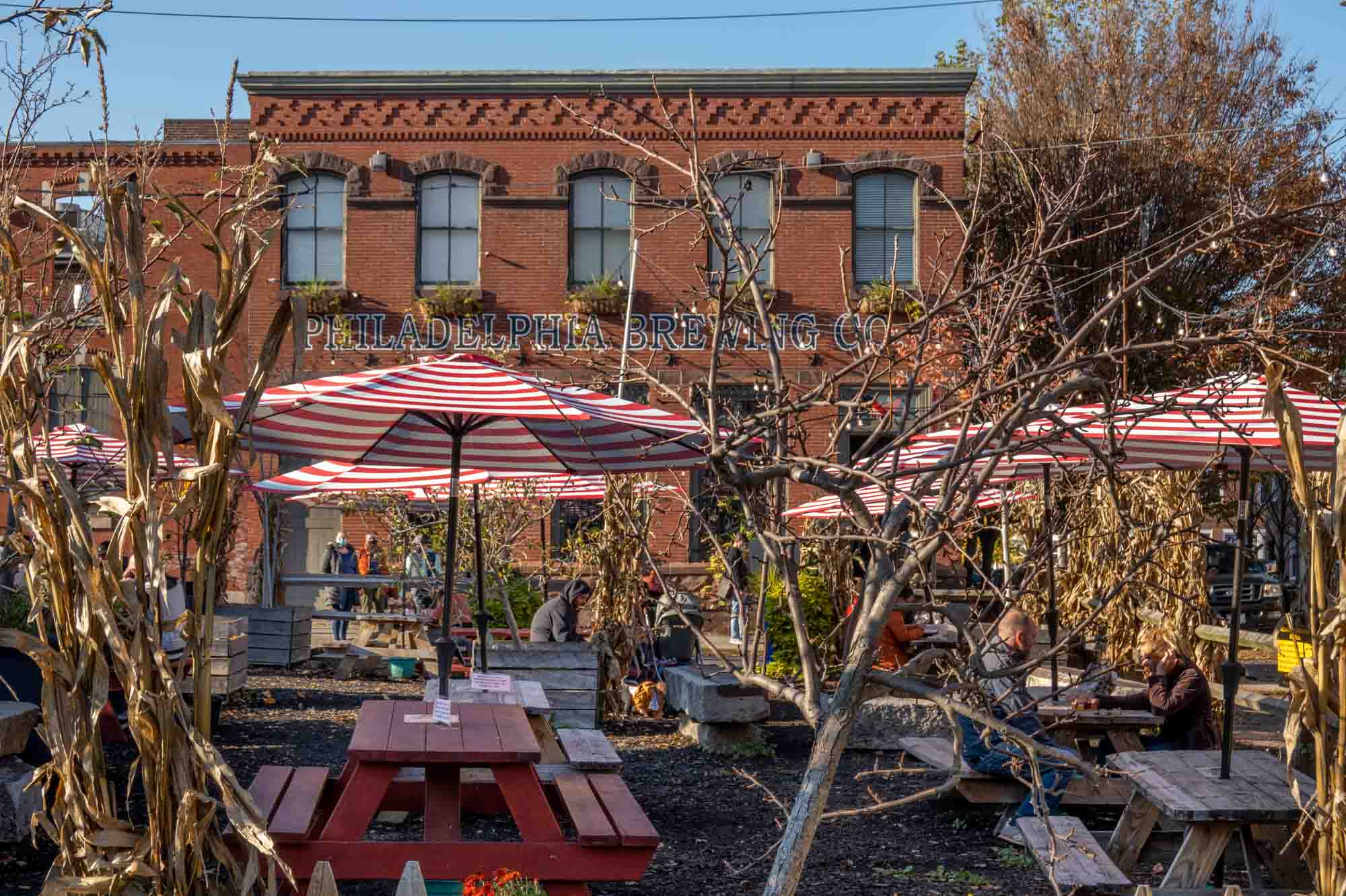 Picnic tables and umbrellas with plants outside a brick building with a sign: "Philadelphia Brewing Co."