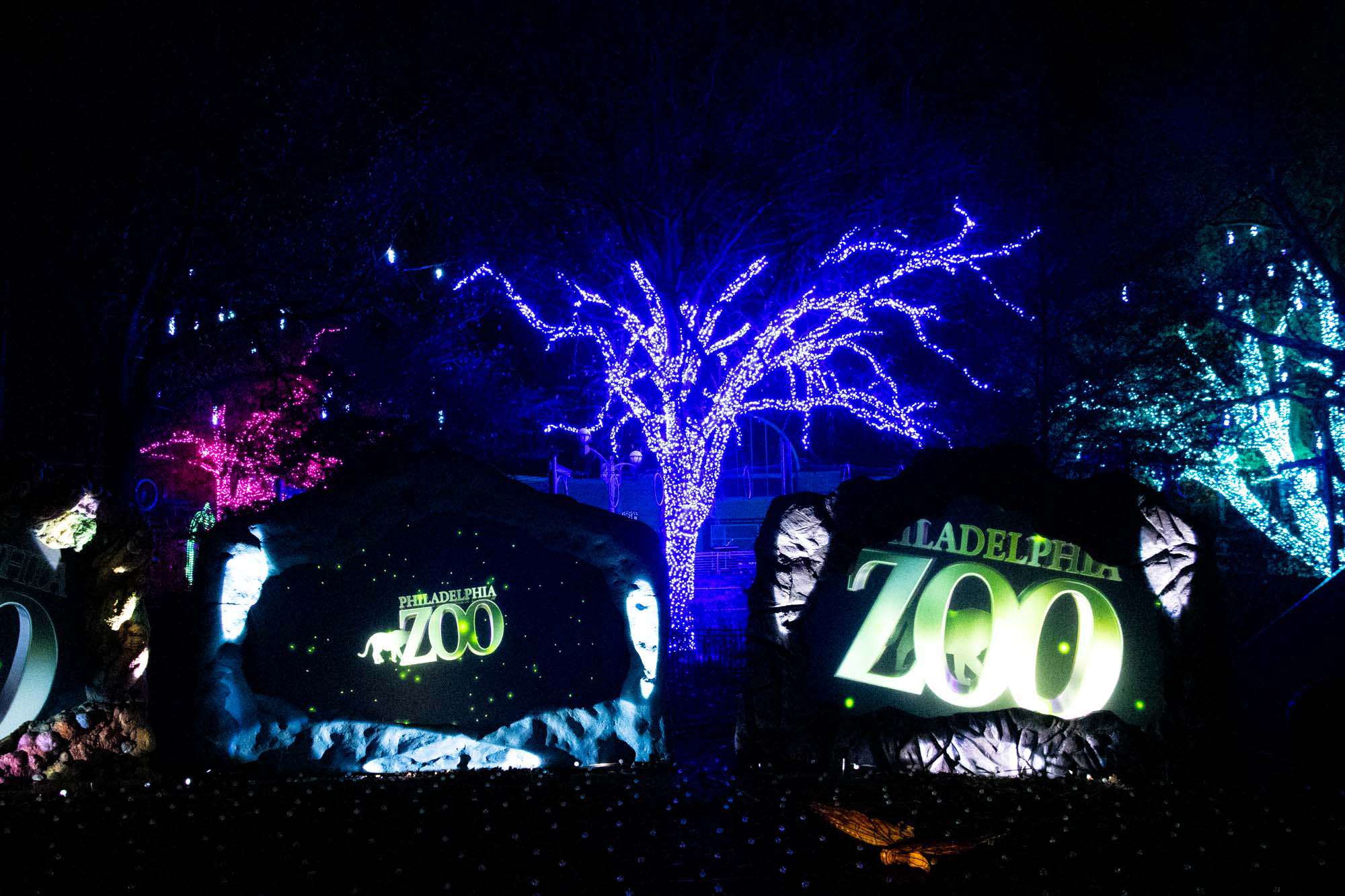 LumiNature Lights Up the Night at Philadelphia Zoo