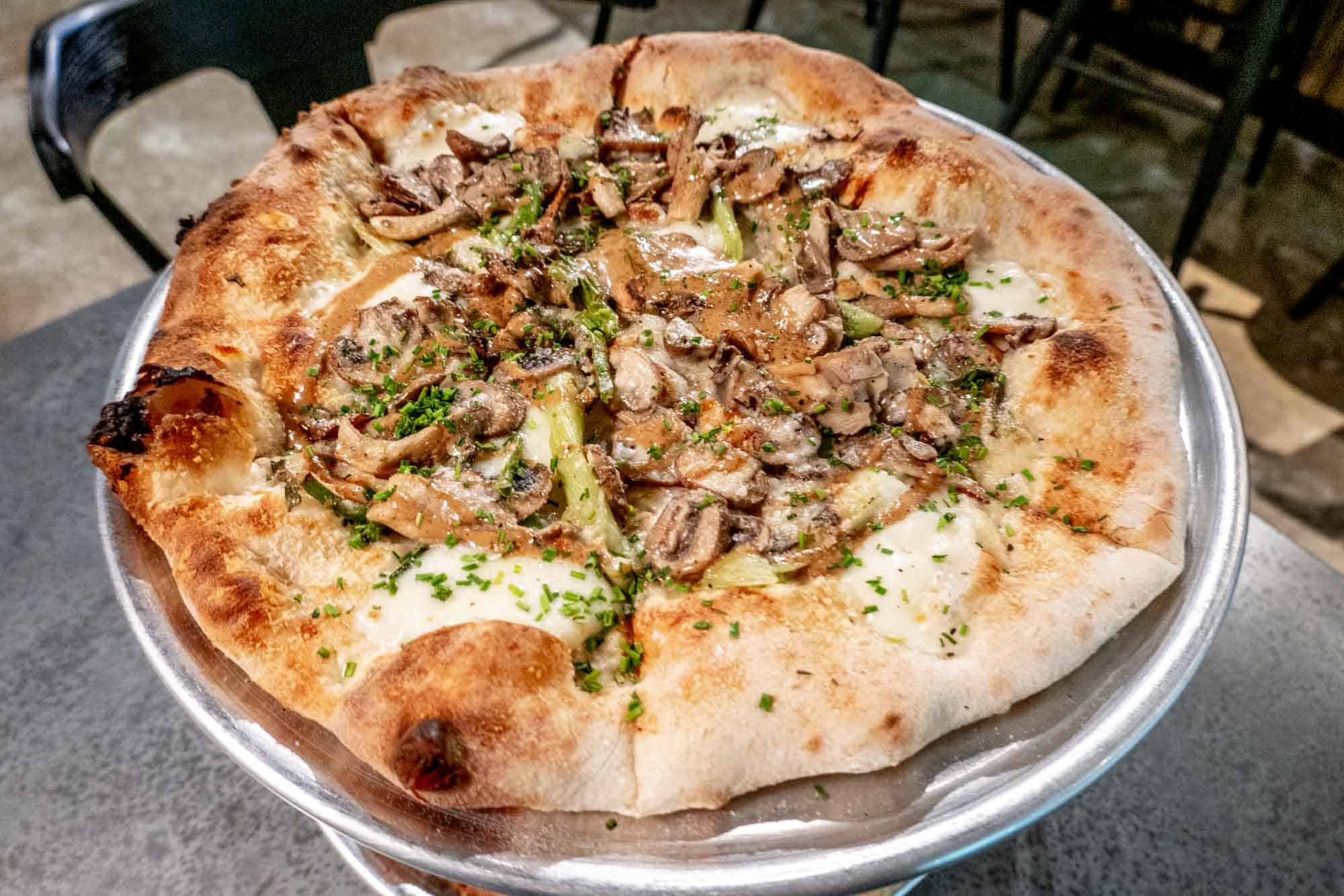 Mushroom pizza on a metal tray