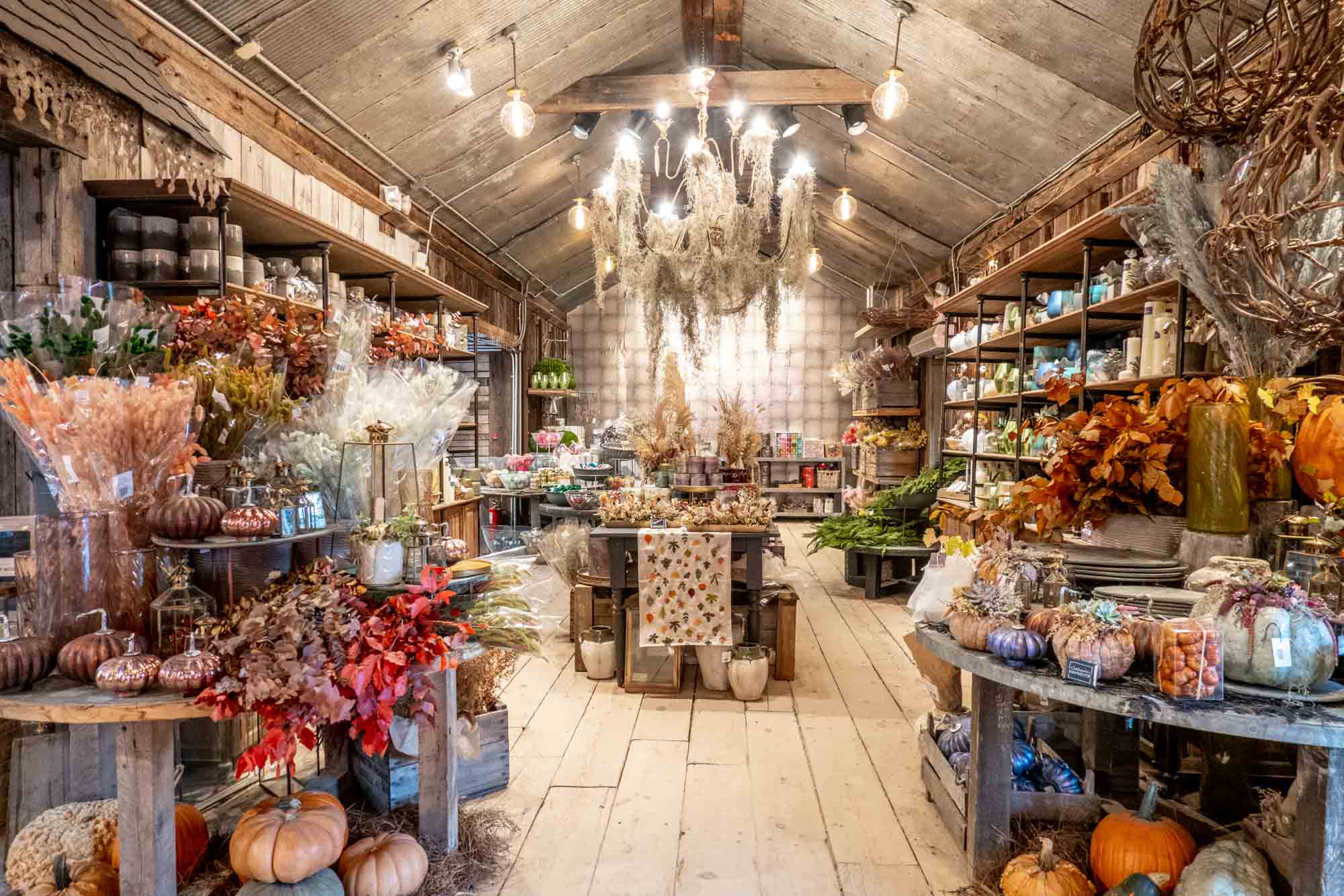 Store filled with candles, pumpkins, and dried plants.