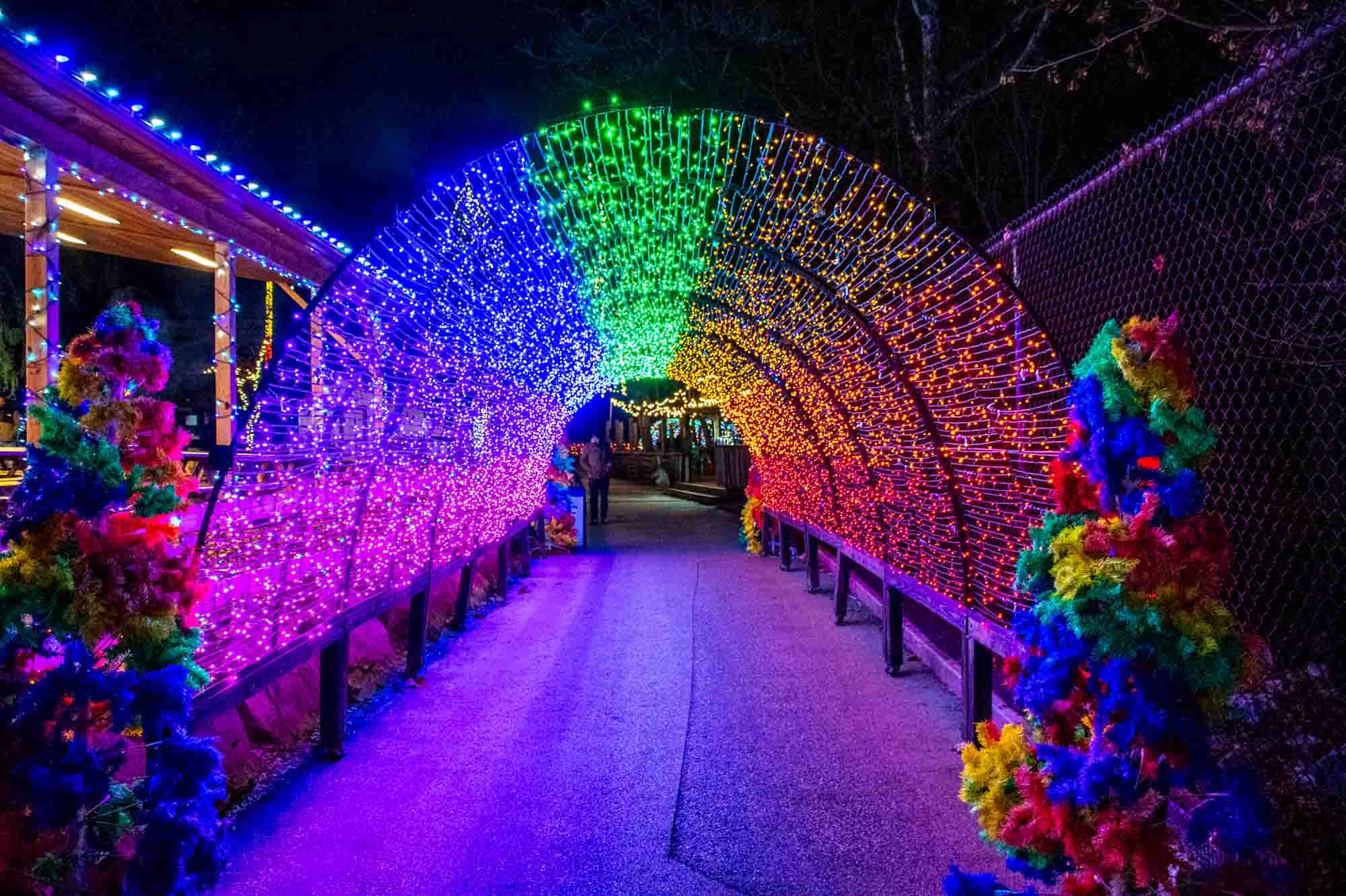 Christmas light tunnel in rainbow colors.