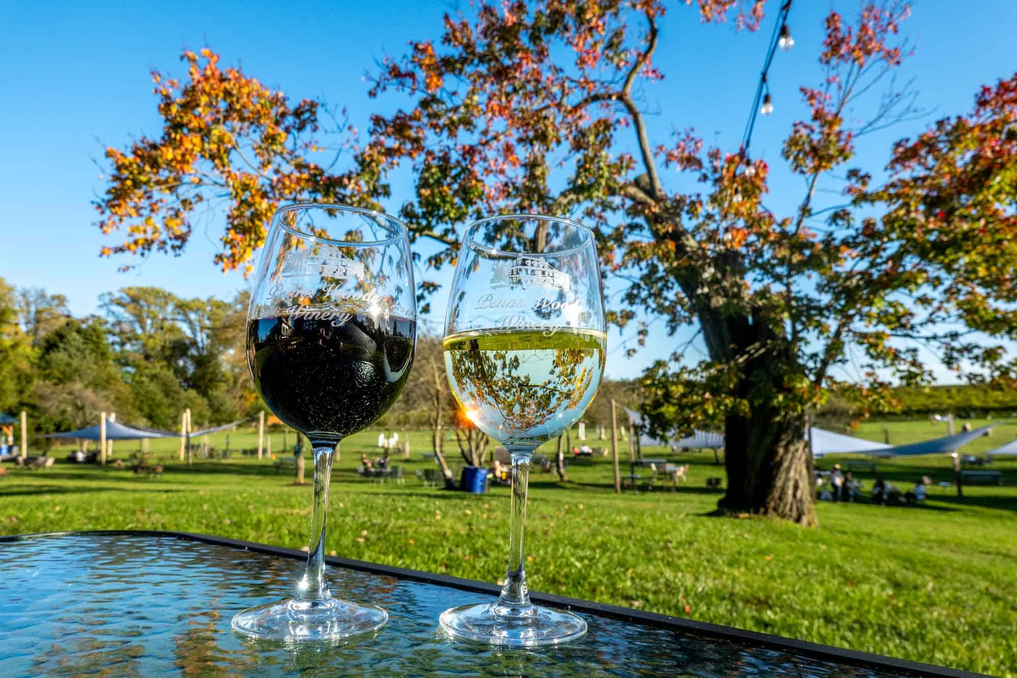 Glass of red wine and glass of white wine on a table outside.