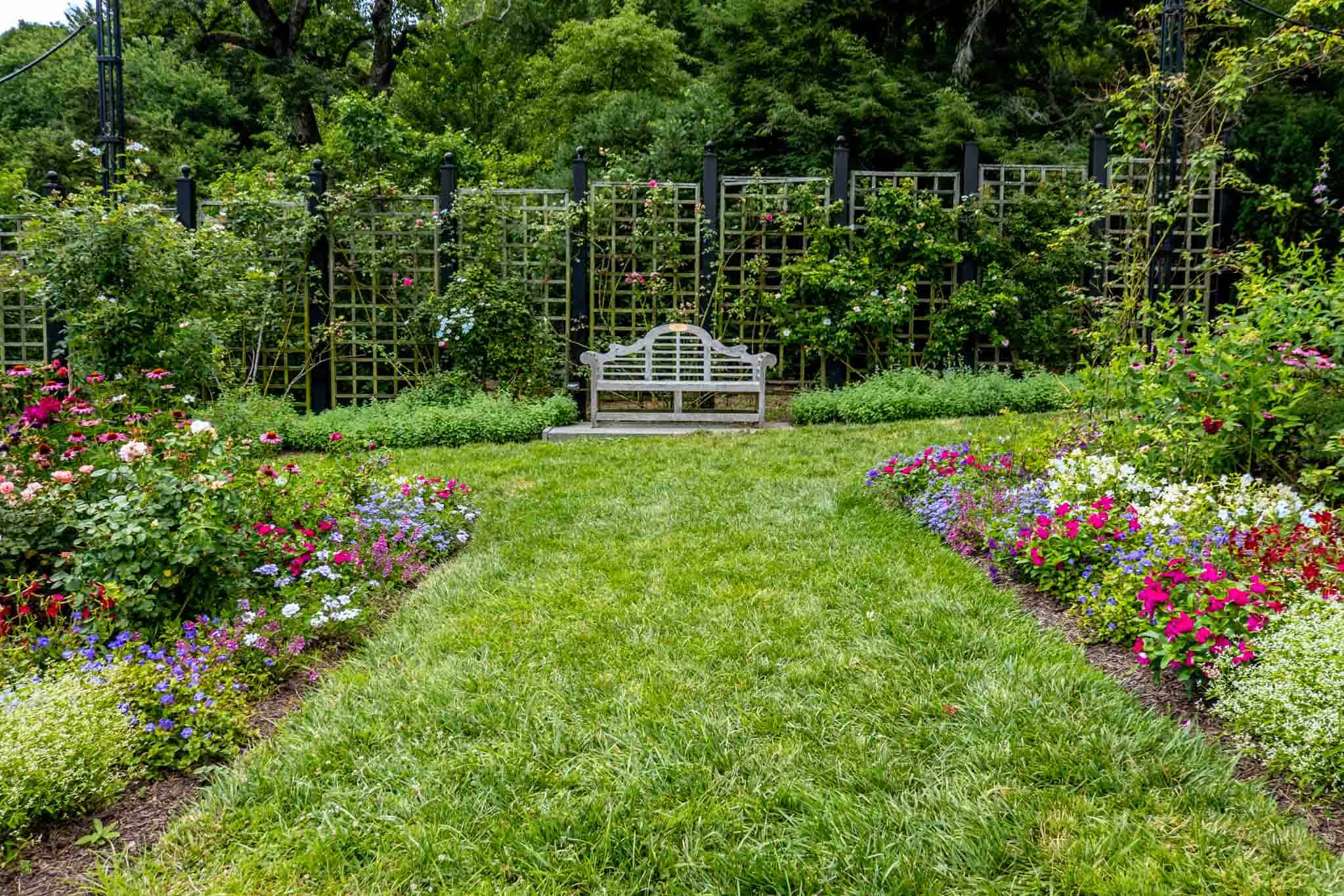 Wooden bench in a rose garden